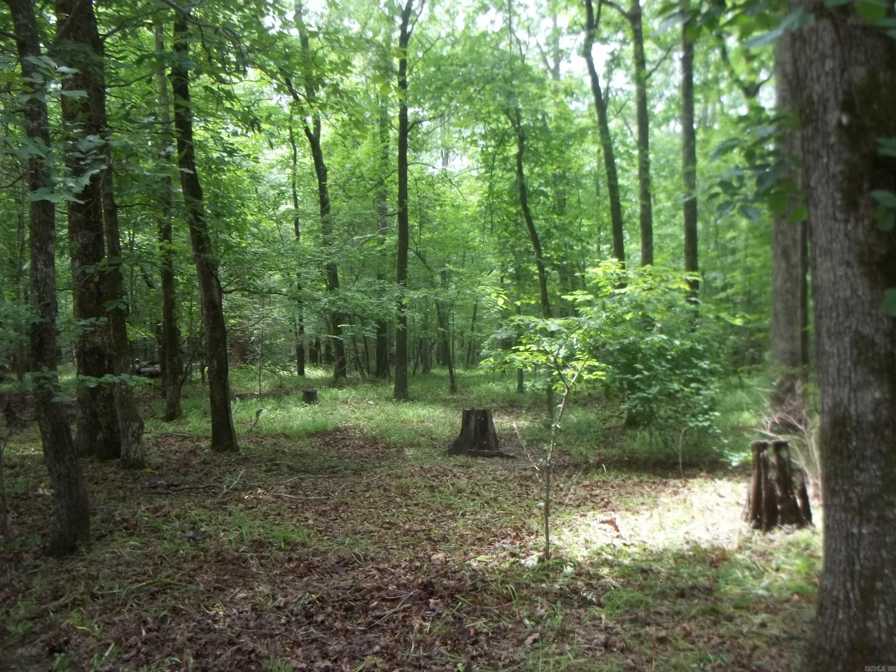 137 Shady Oaks Lane Property Photo 28