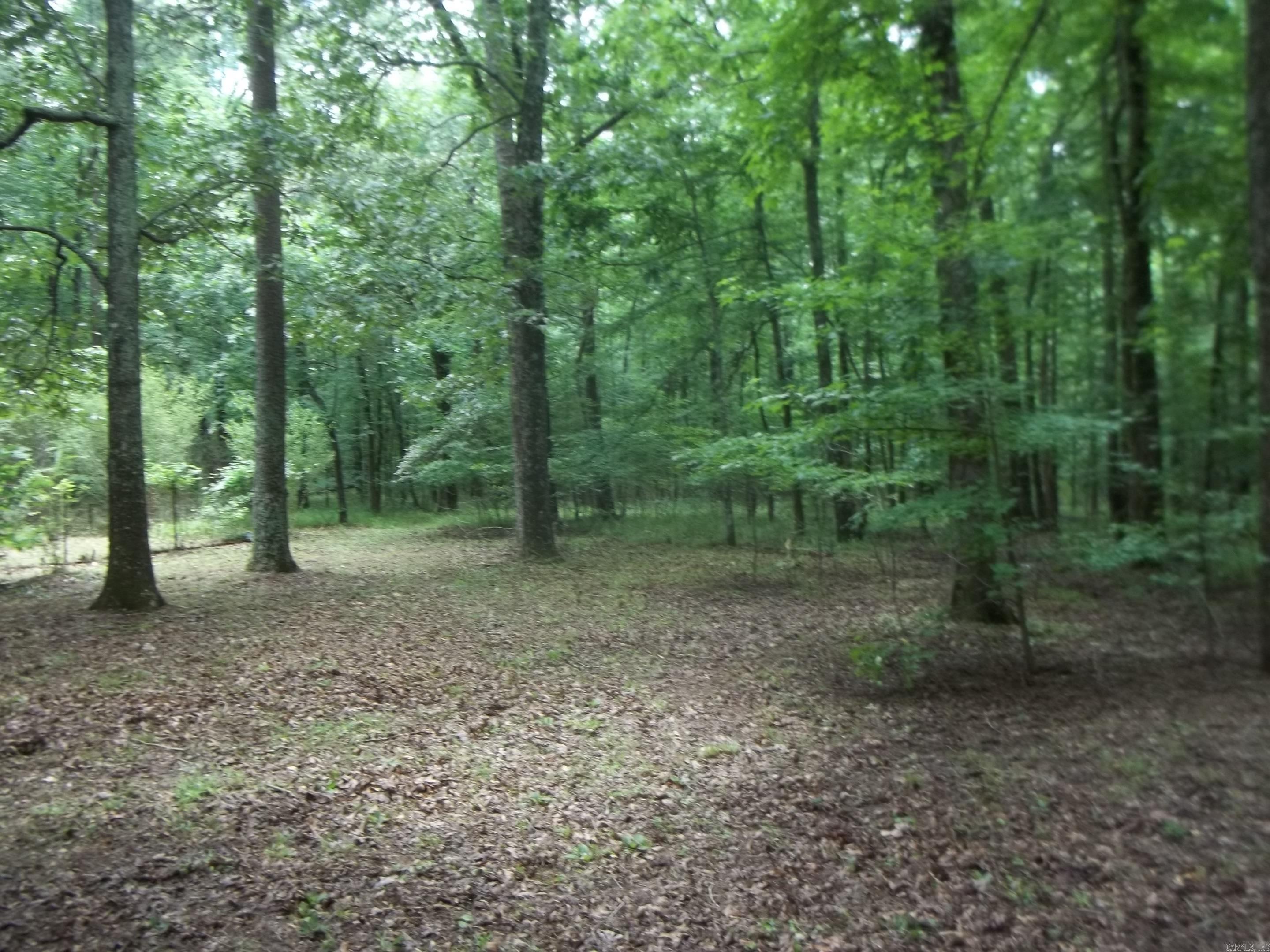 137 Shady Oaks Lane Property Photo 29
