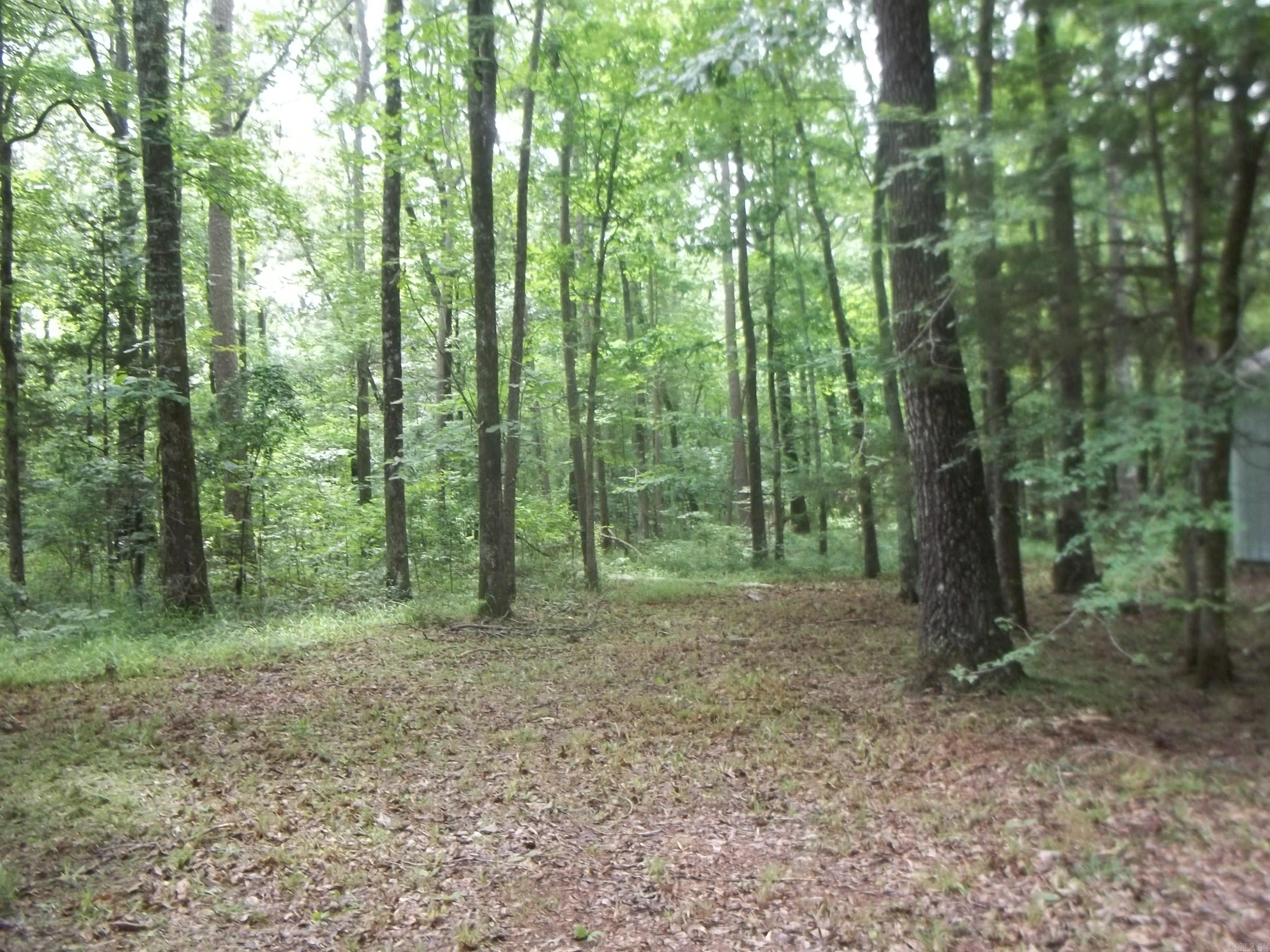 137 Shady Oaks Lane Property Photo 31