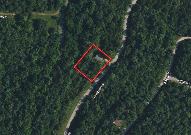 203 S Pinocchio Property Photo 2