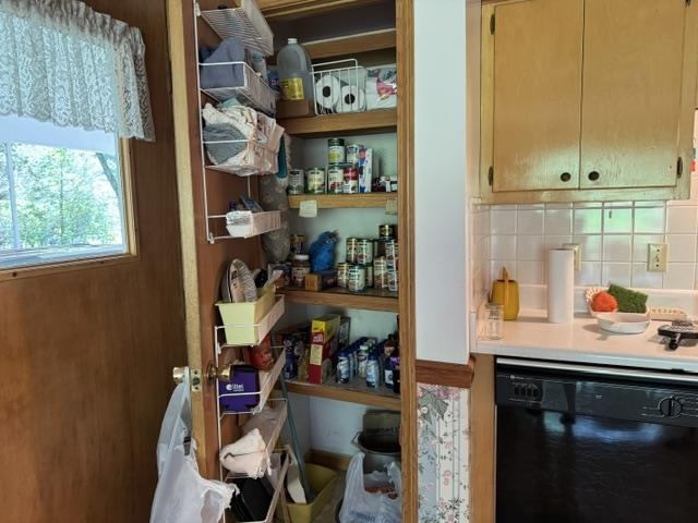 203 S Pinocchio Property Photo 4