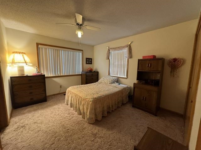 203 S Pinocchio Property Photo 6