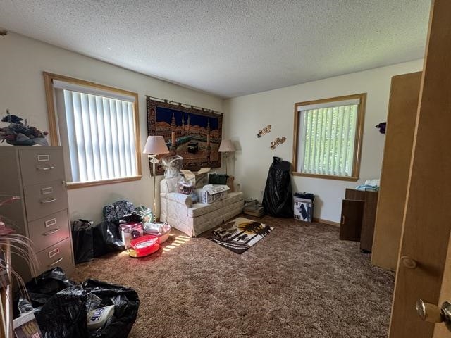 203 S Pinocchio Property Photo 8