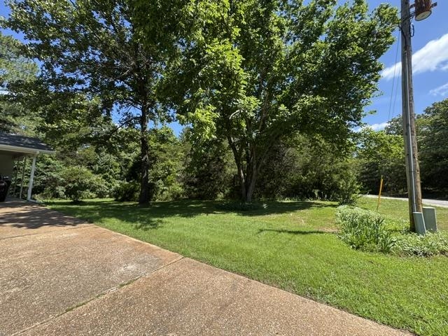 203 S Pinocchio Property Photo 19