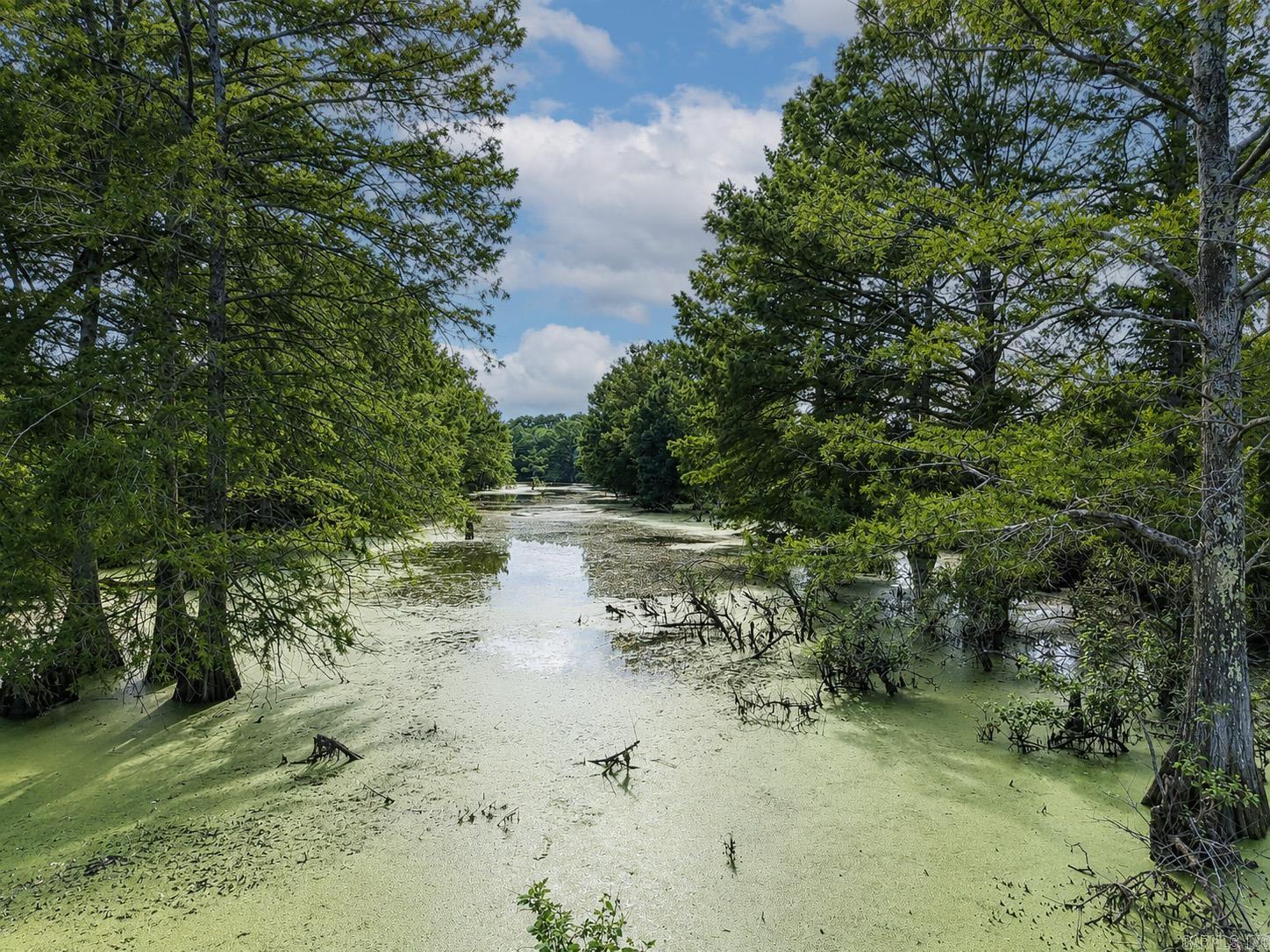 2520 Deep Bayou Property Photo 10