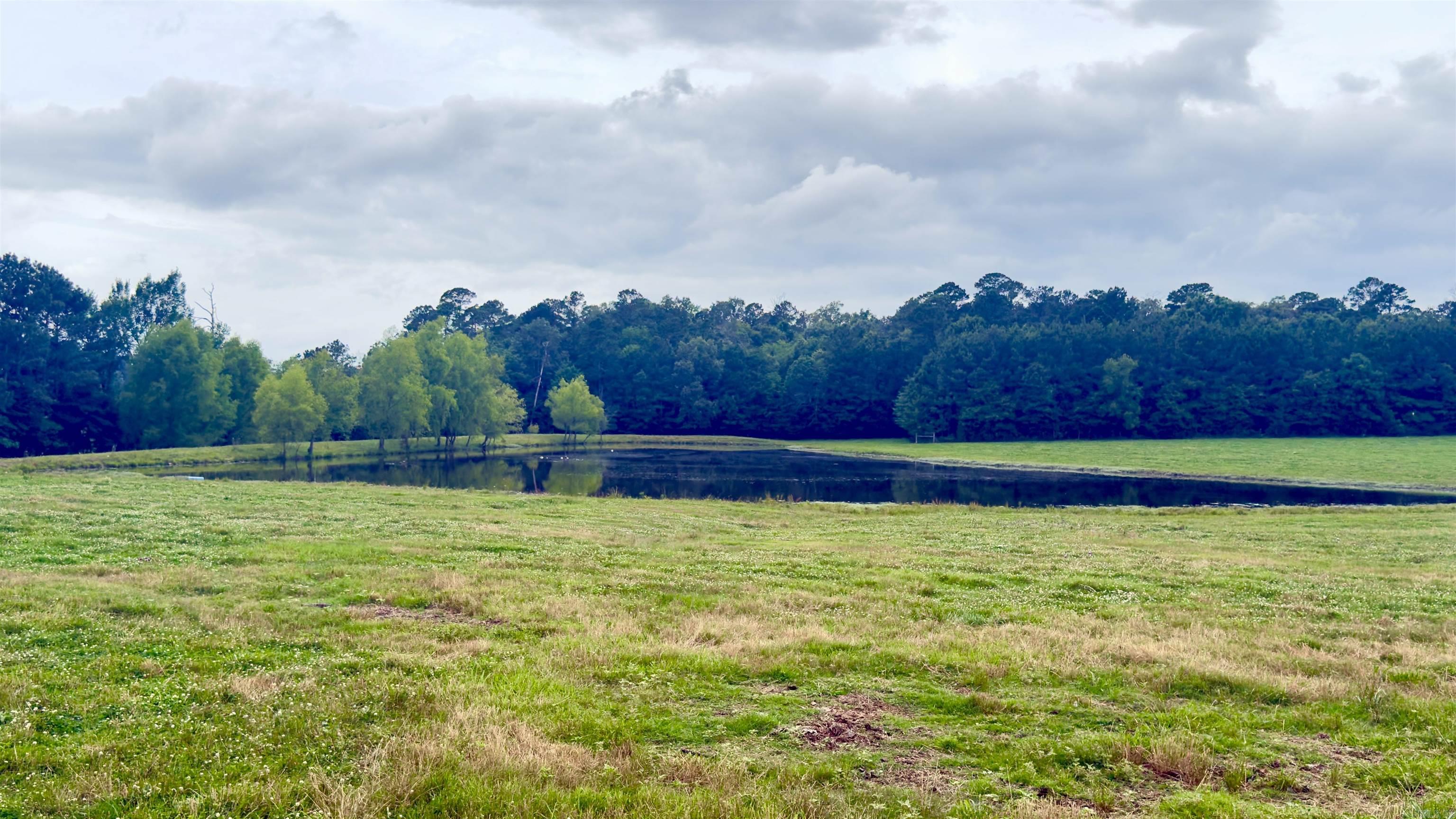 100 Acres Wynn Road Property Photo 6