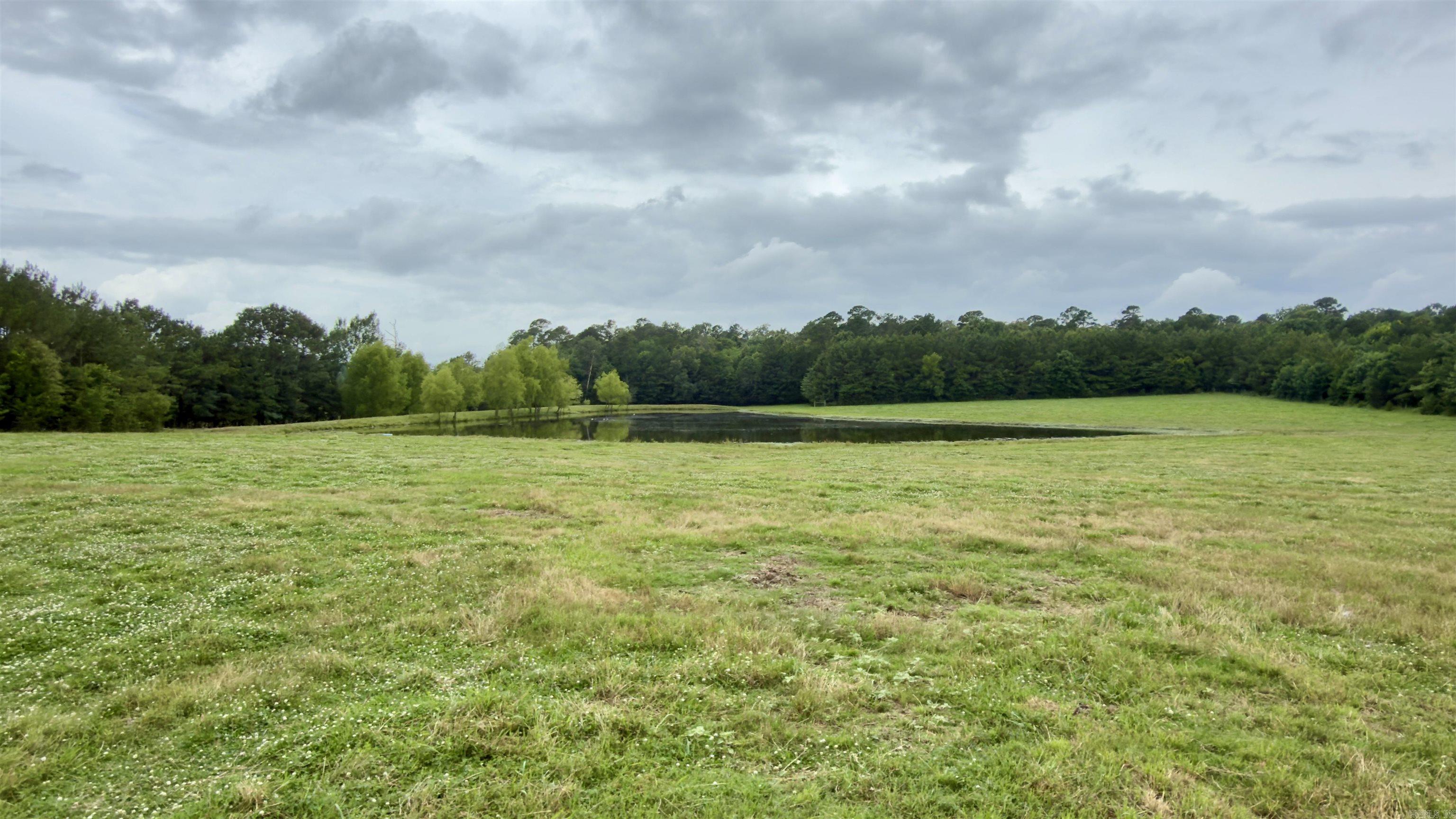 100 Acres Wynn Road Property Photo 7