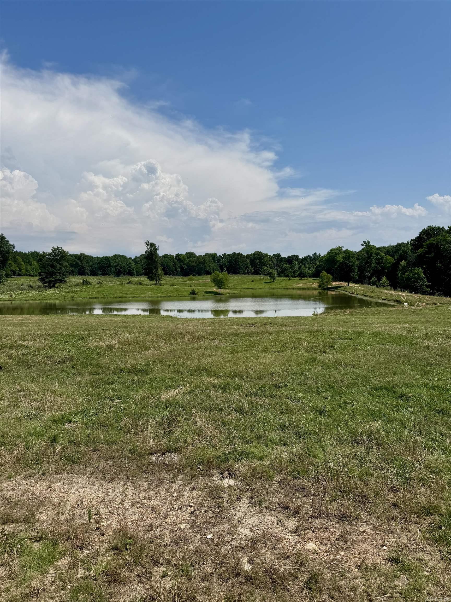 100 Acres Wynn Road Property Photo 10