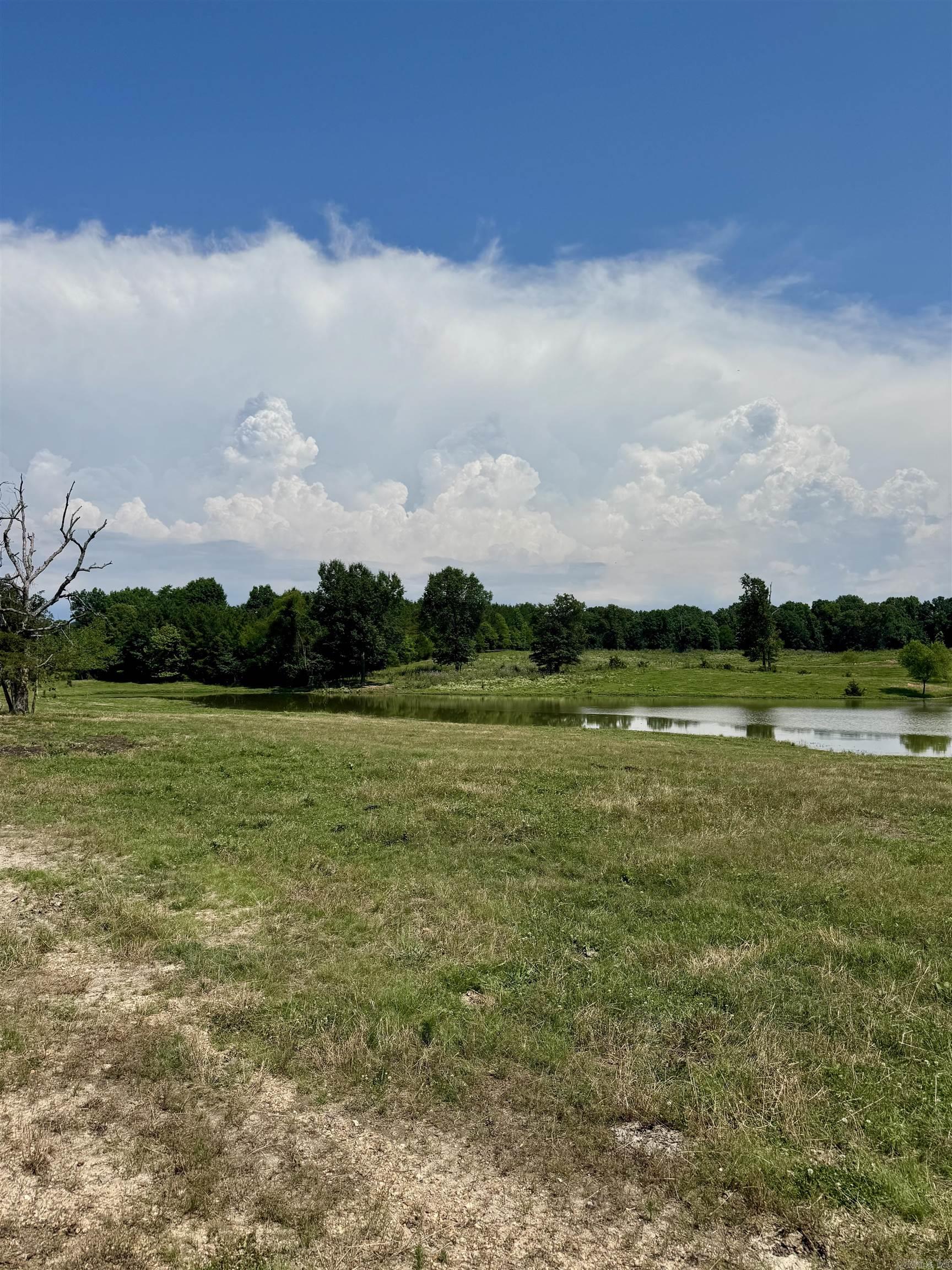 100 Acres Wynn Road Property Photo 11