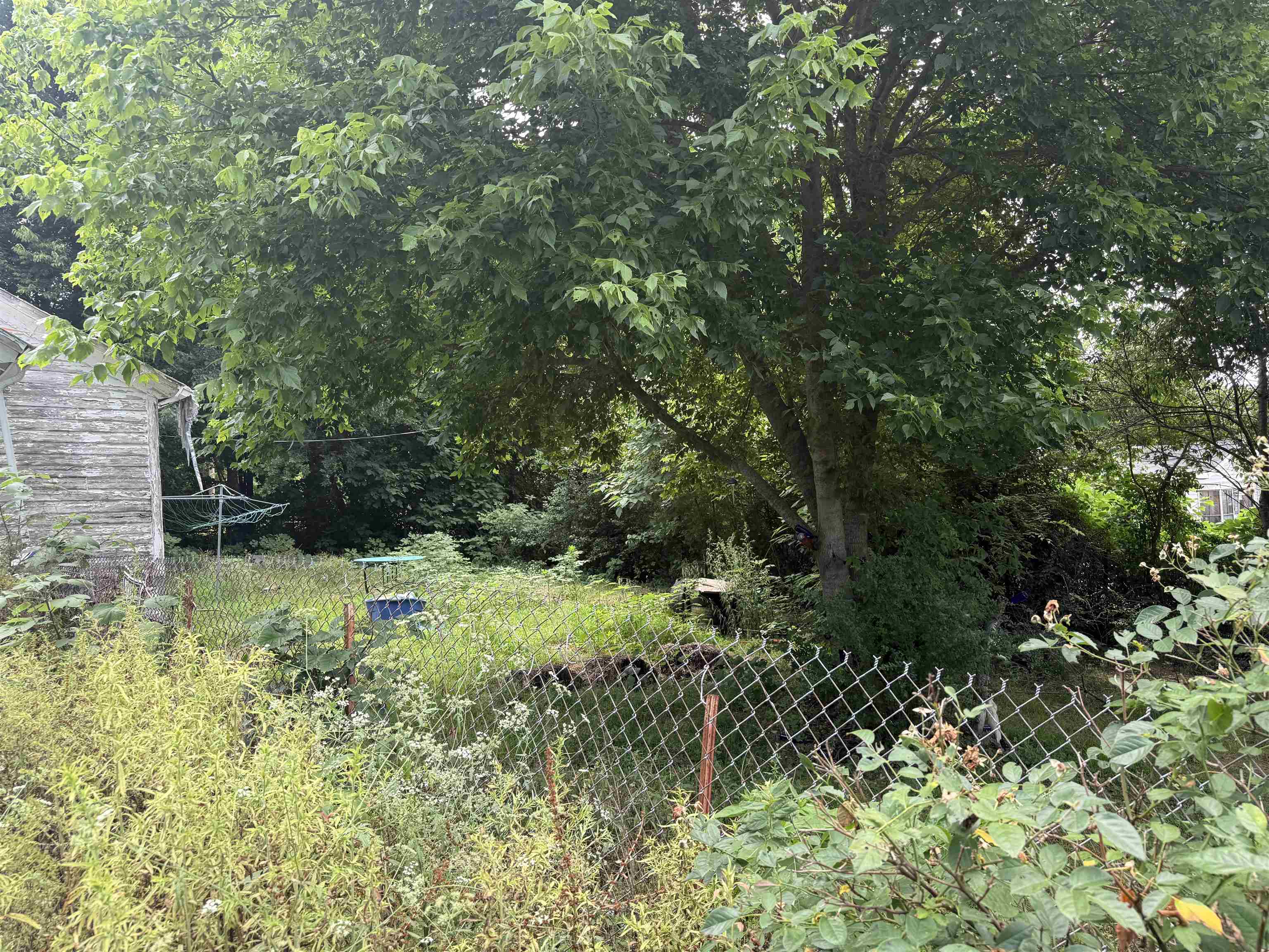 187 Old Highway 11 Property Photo 4