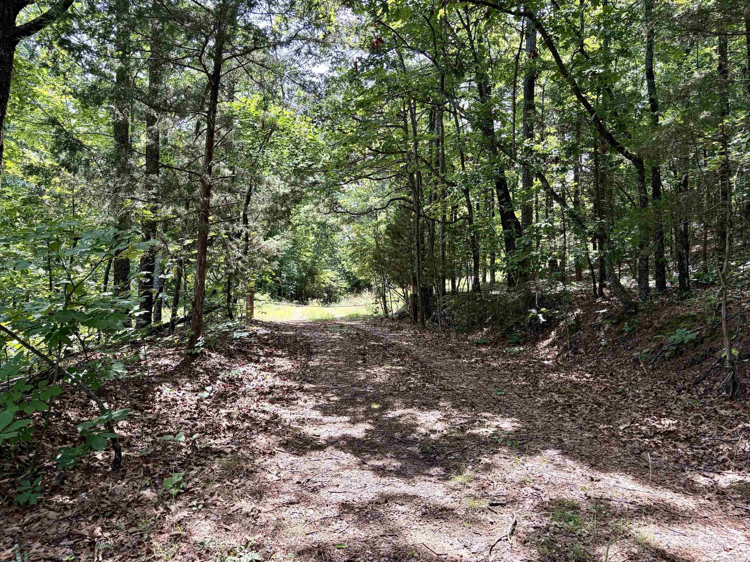 2475 Holly Mountain Road Property Photo 6