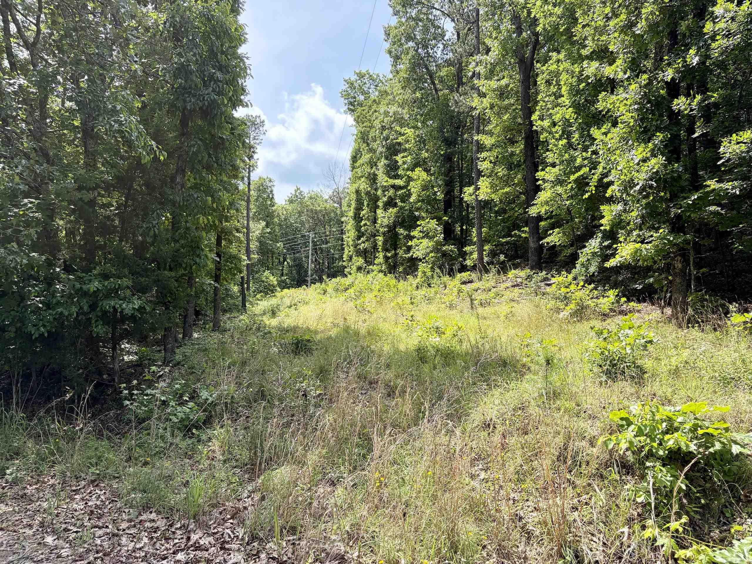 2475 Holly Mountain Road Property Photo 10