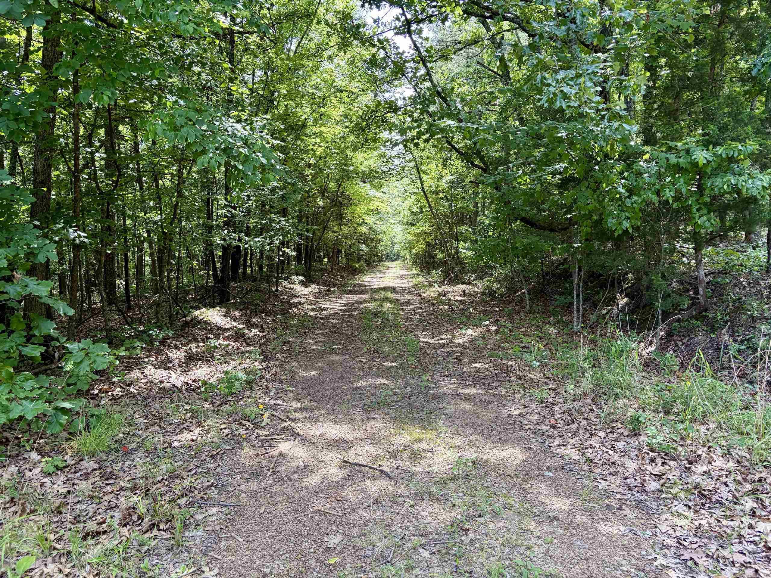 2475 Holly Mountain Road Property Photo 11