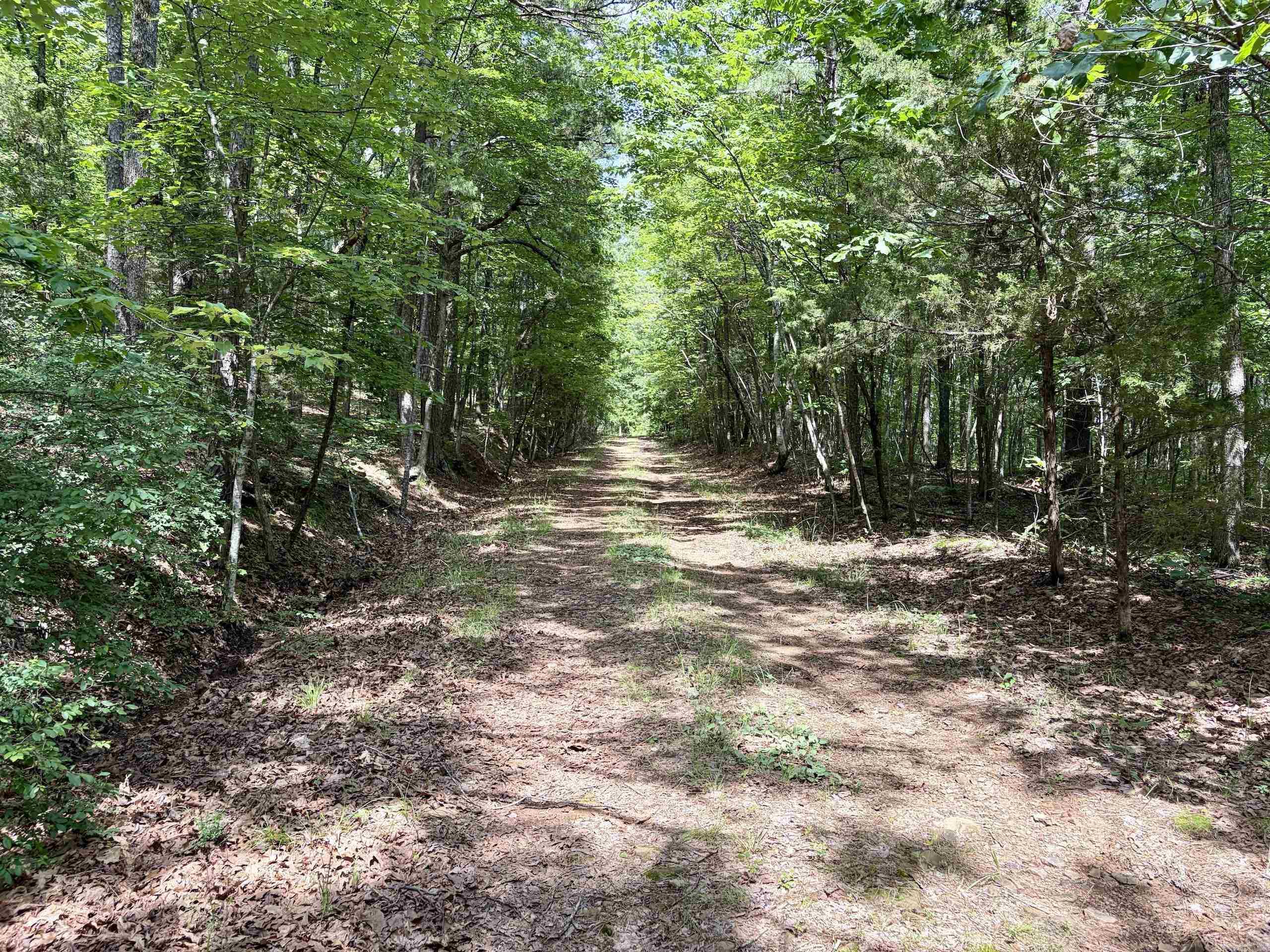2475 Holly Mountain Road Property Photo 12