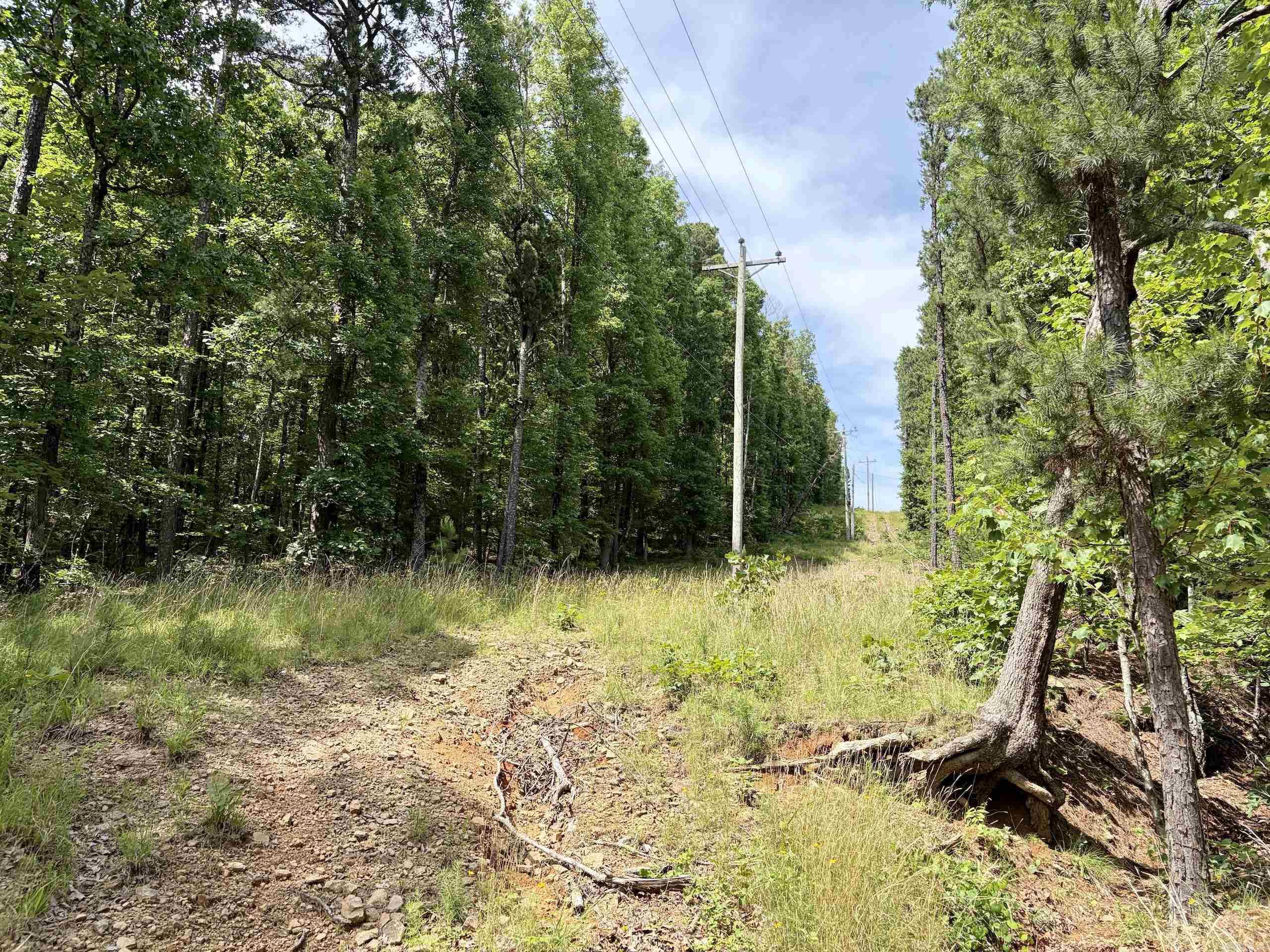 2475 Holly Mountain Road Property Photo 13
