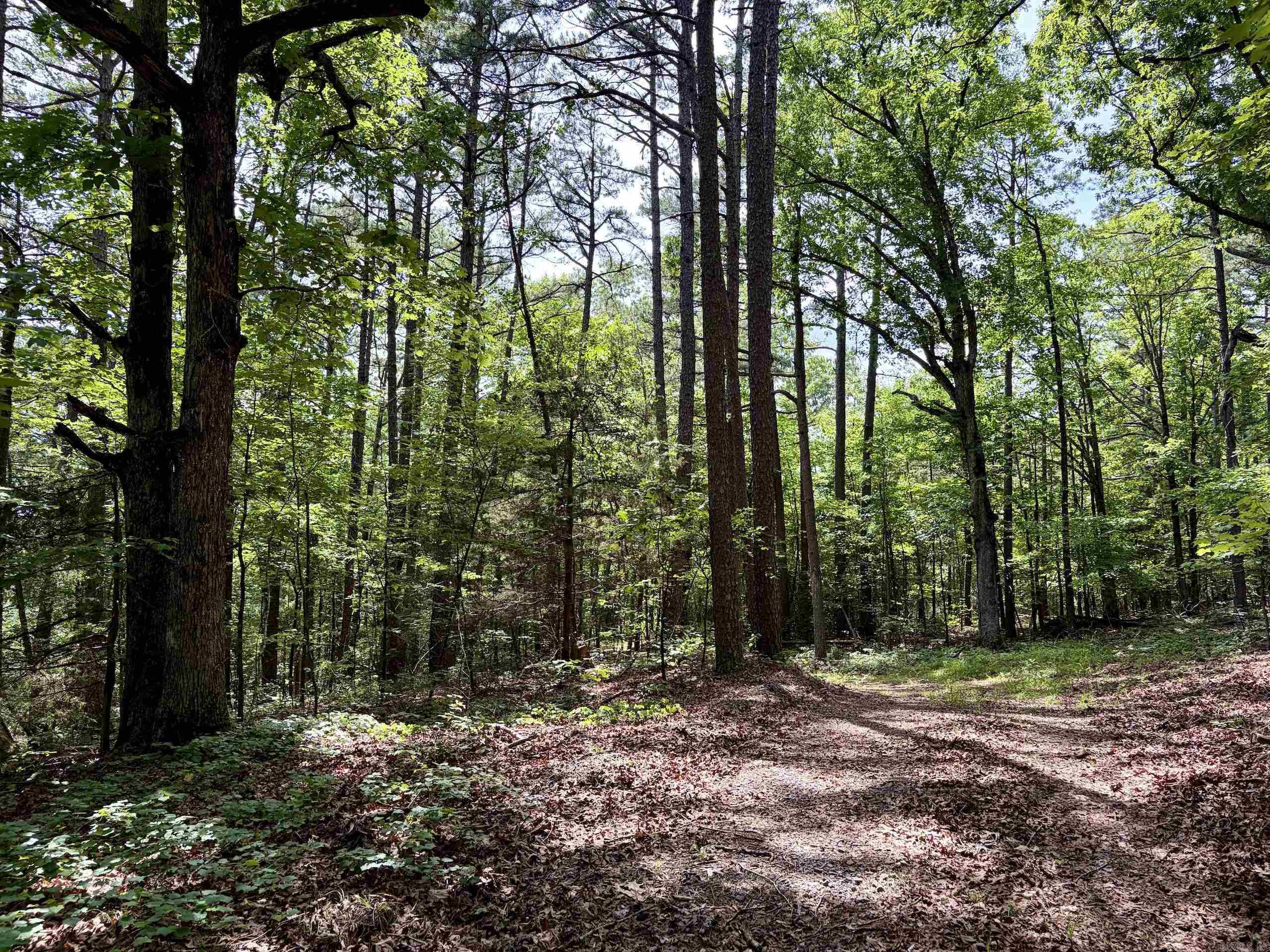 2475 Holly Mountain Road Property Photo 14