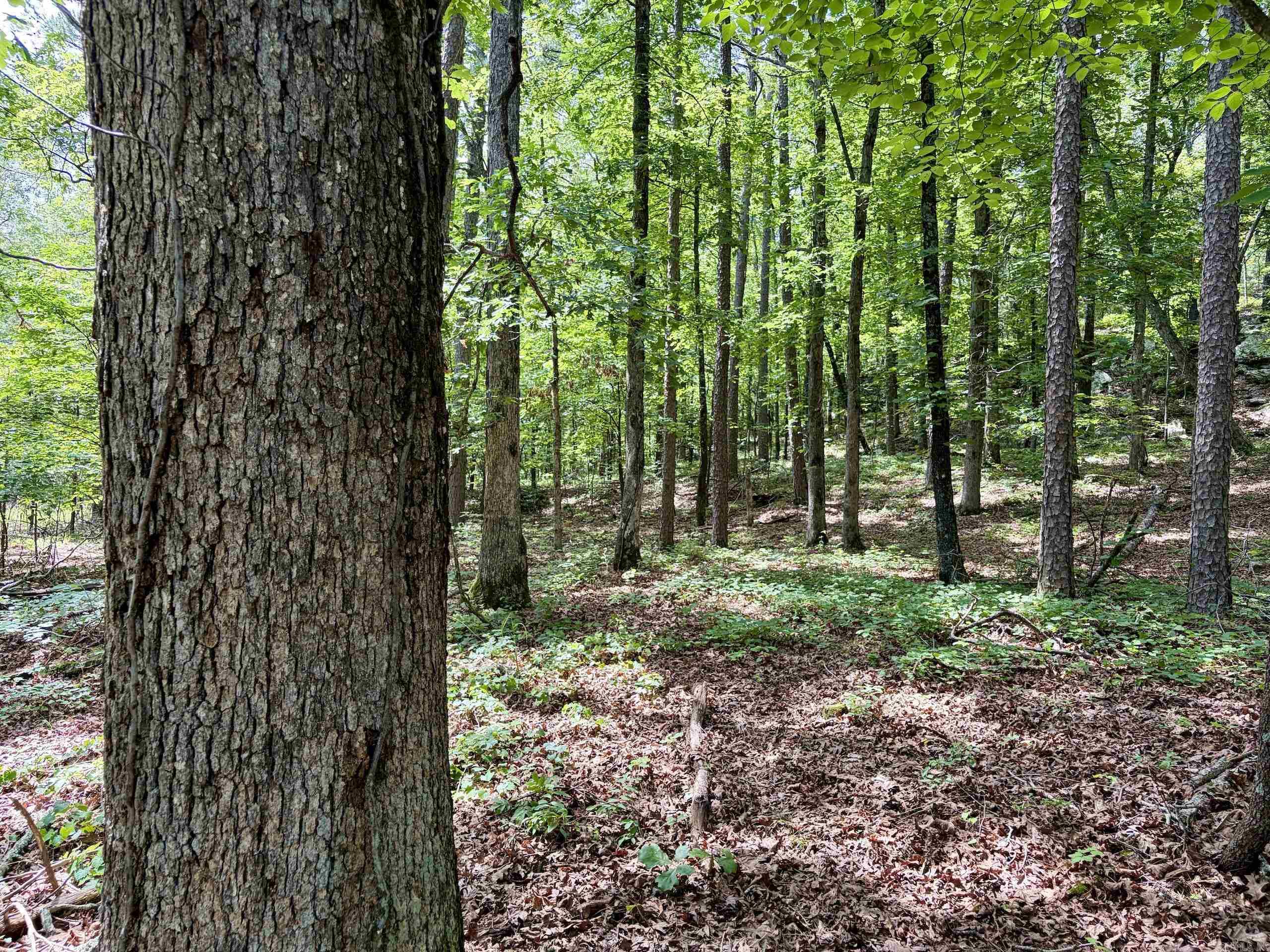 2475 Holly Mountain Road Property Photo 15