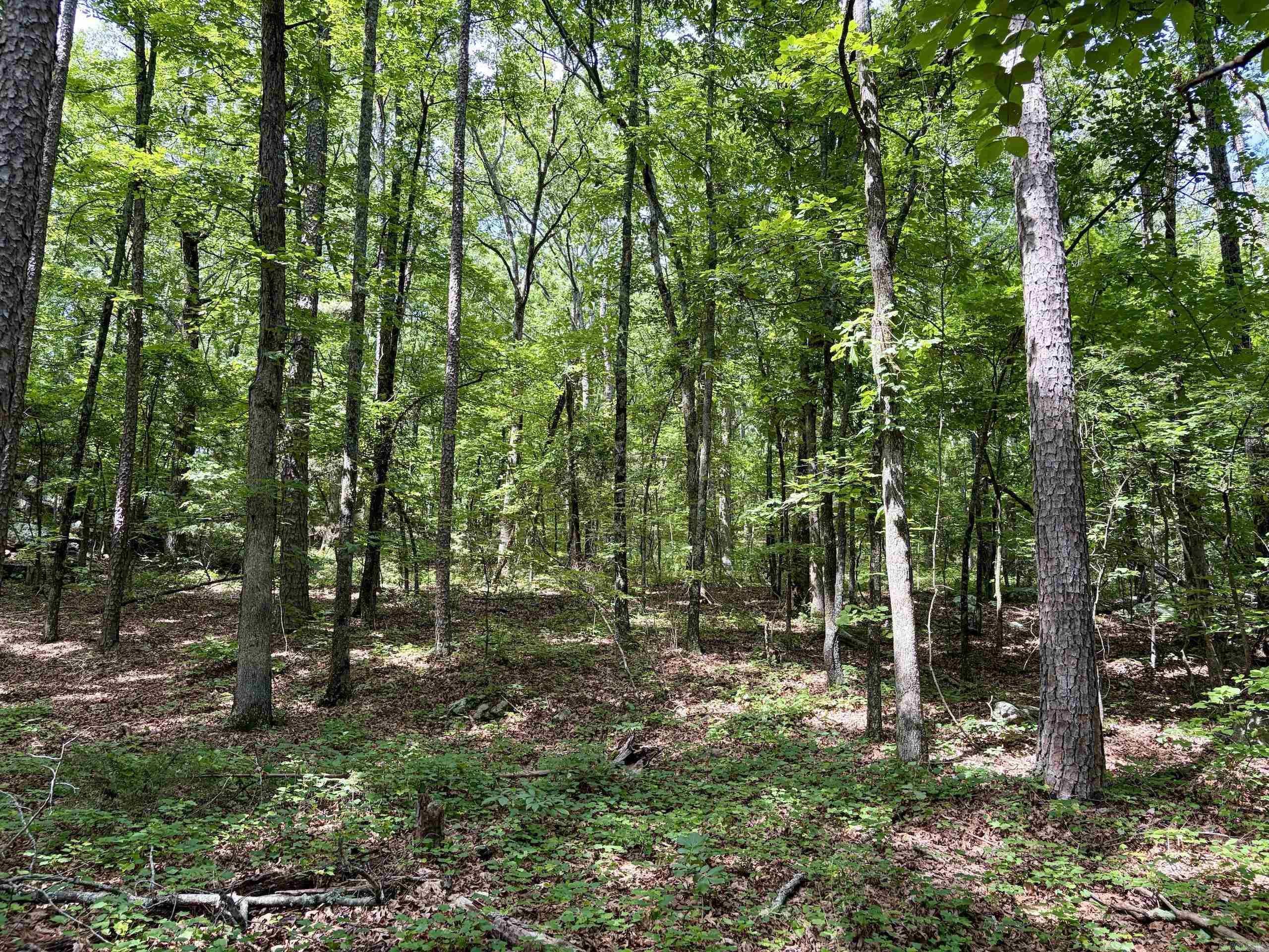 2475 Holly Mountain Road Property Photo 16