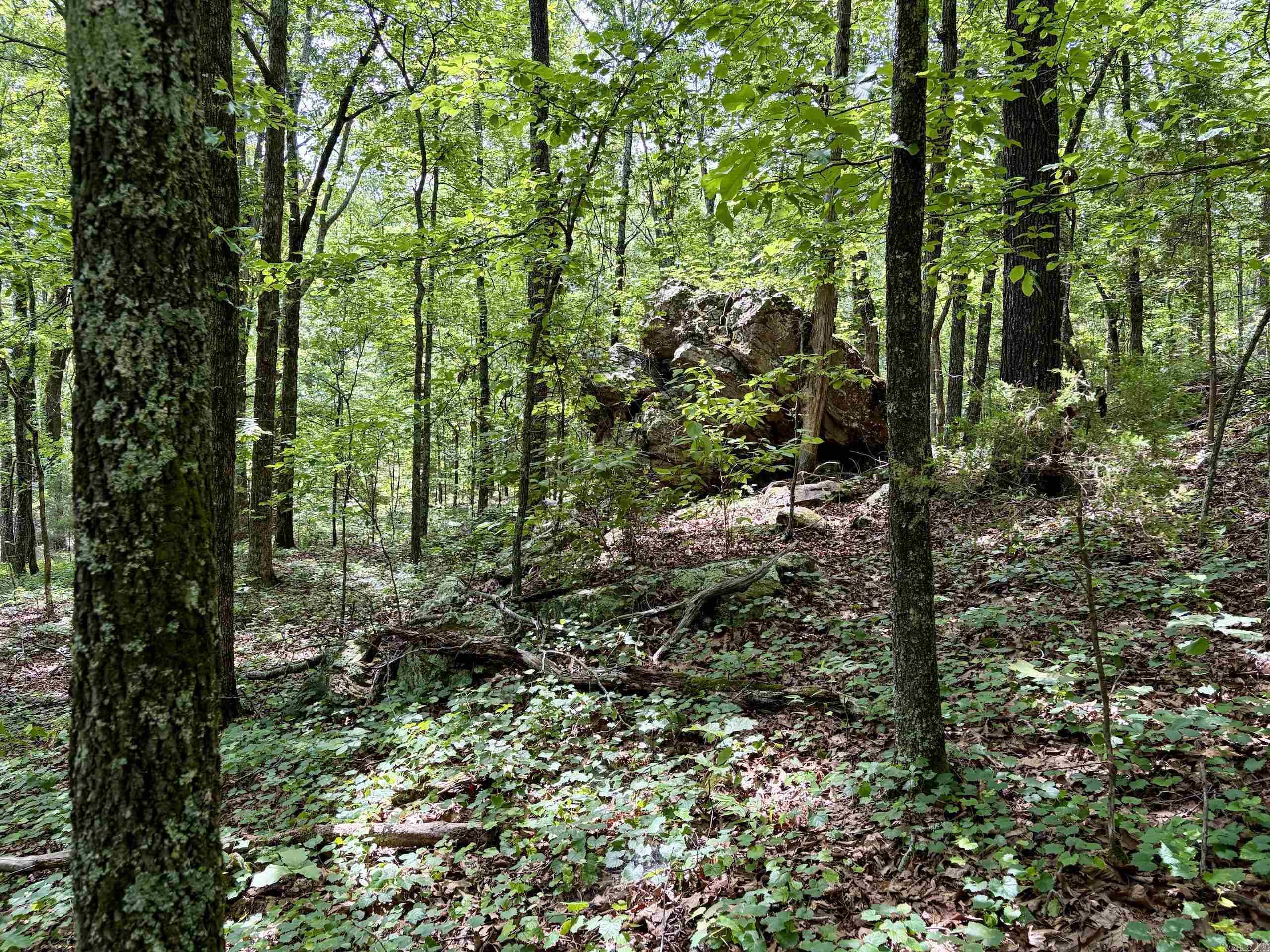 2475 Holly Mountain Road Property Photo 17