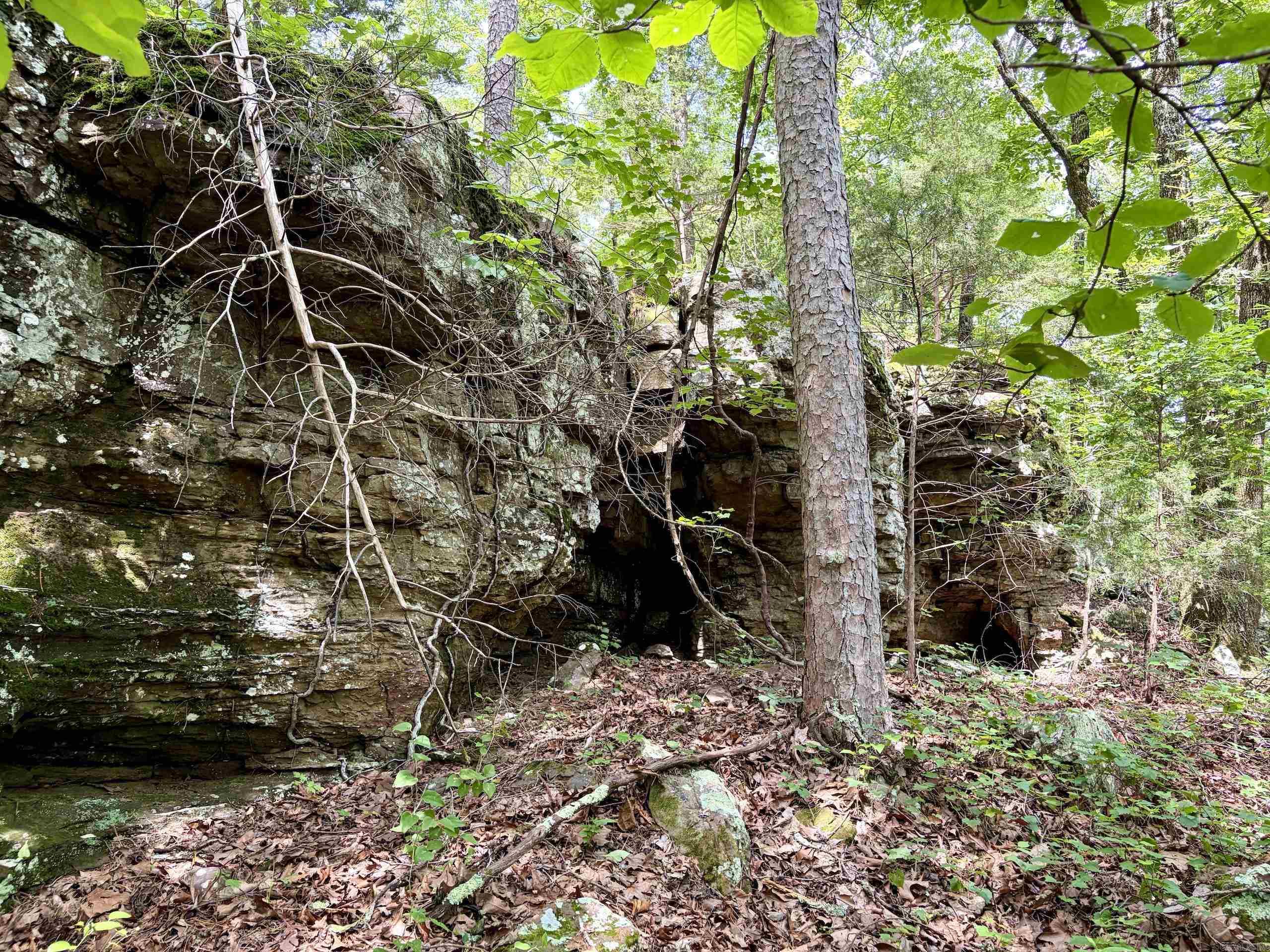 2475 Holly Mountain Road Property Photo 18