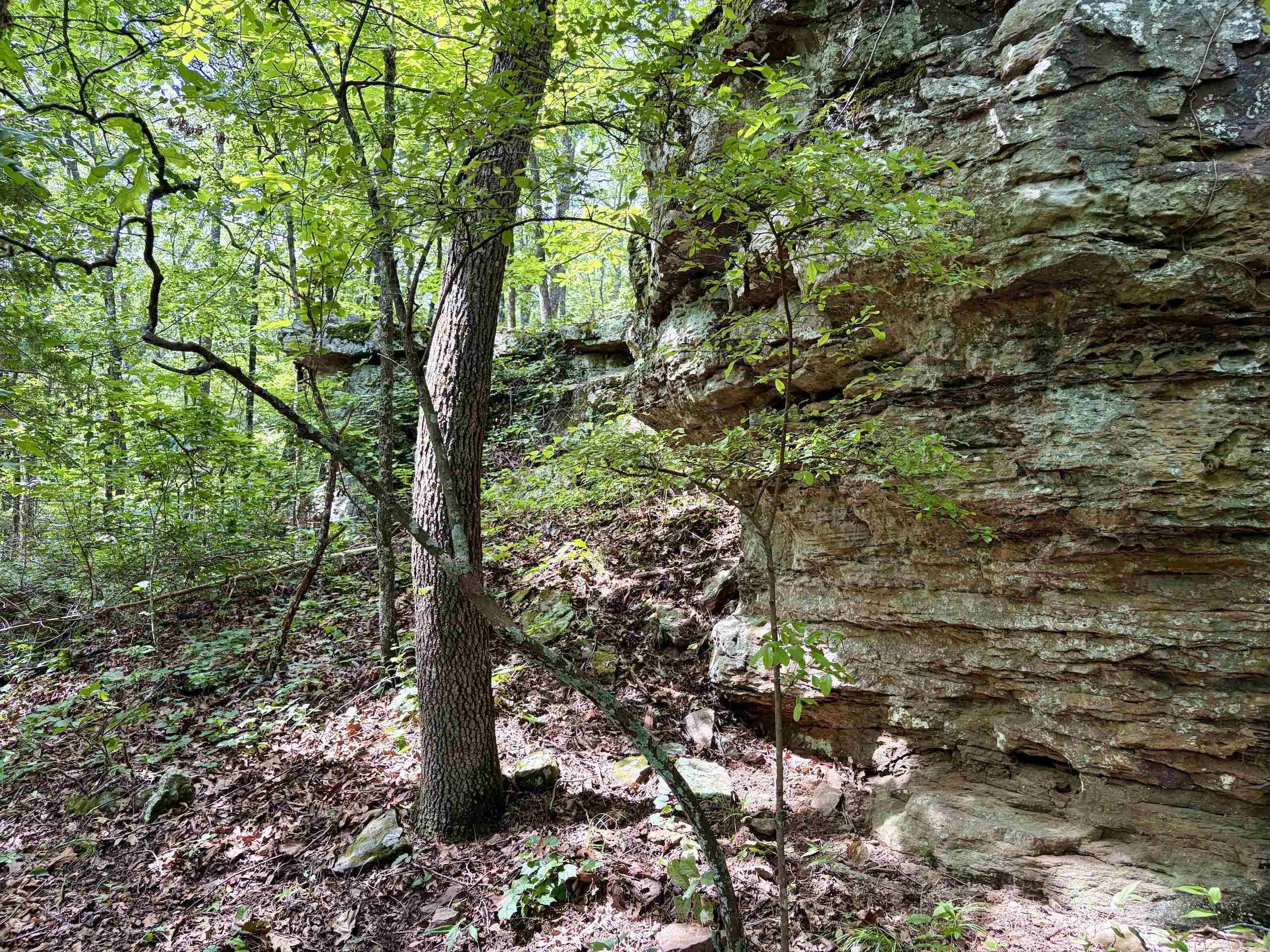 2475 Holly Mountain Road Property Photo 19