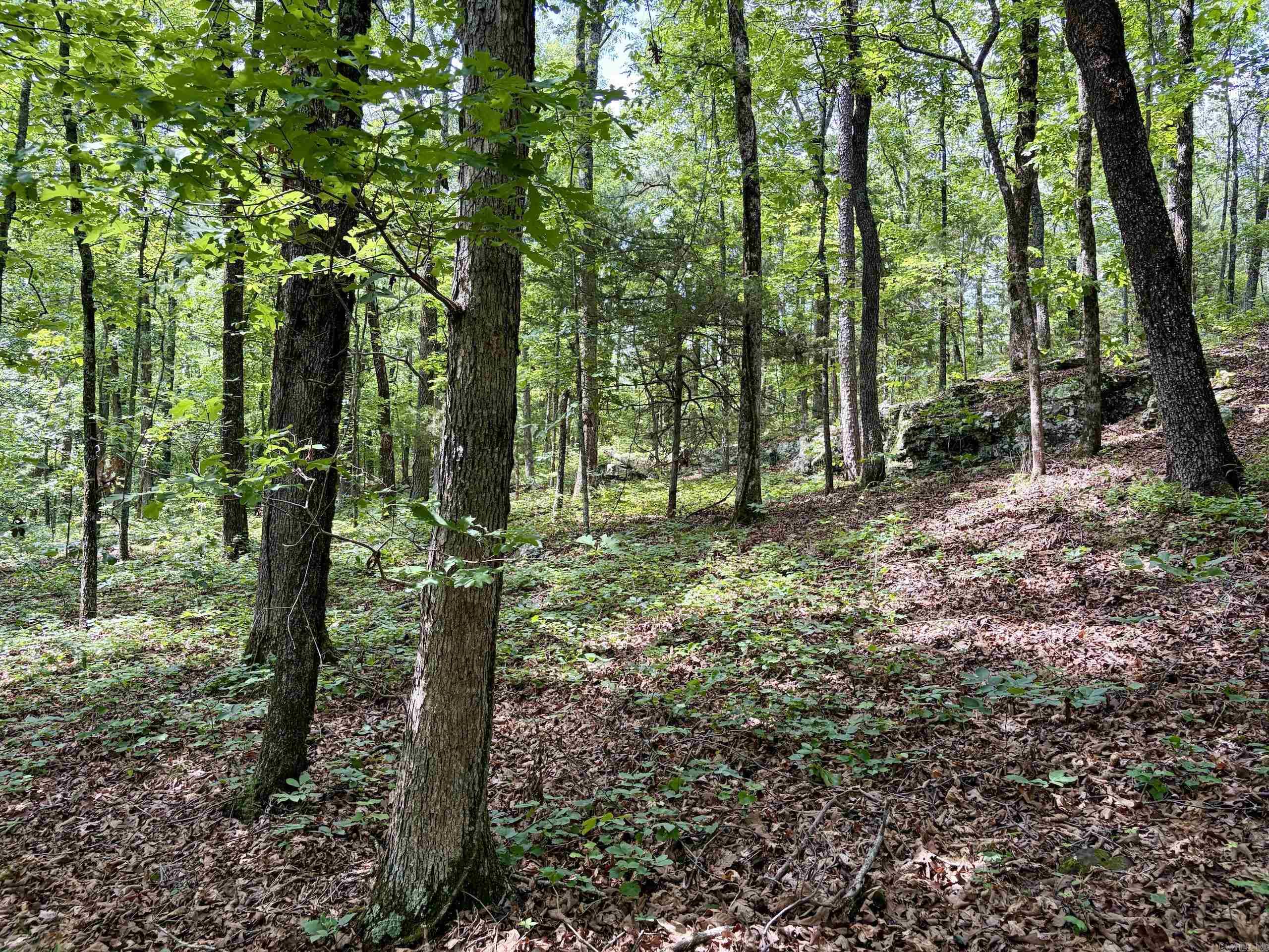 2475 Holly Mountain Road Property Photo 21