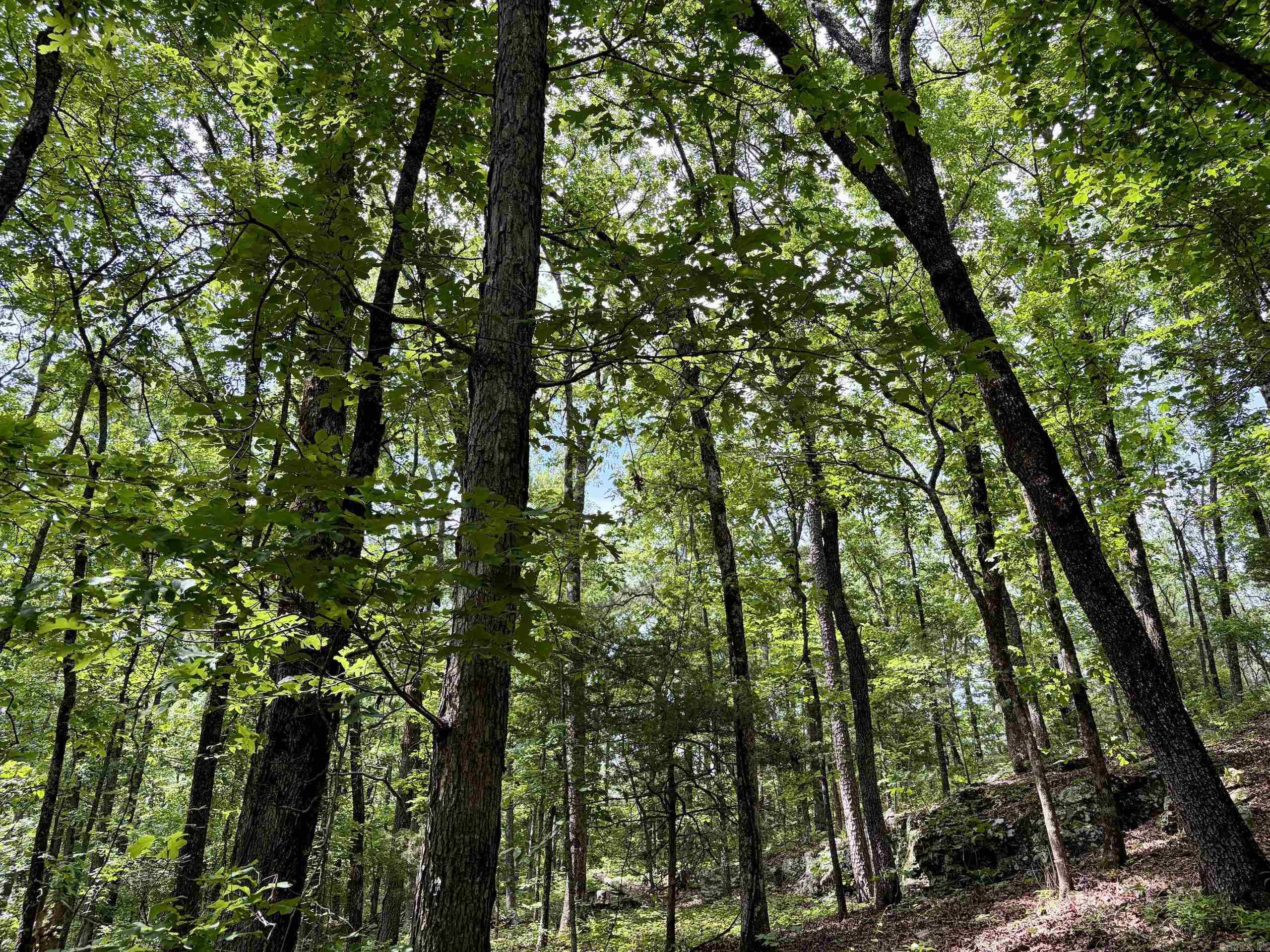 2475 Holly Mountain Road Property Photo 22