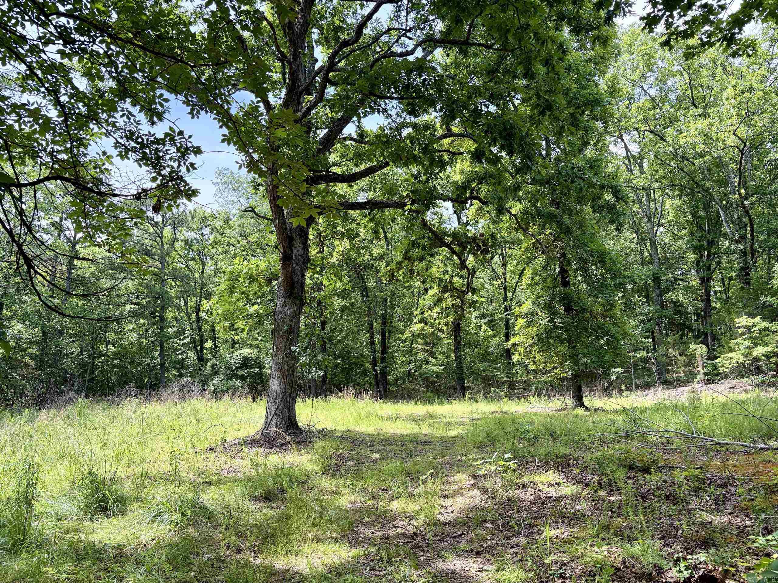 2475 Holly Mountain Road Property Photo 23