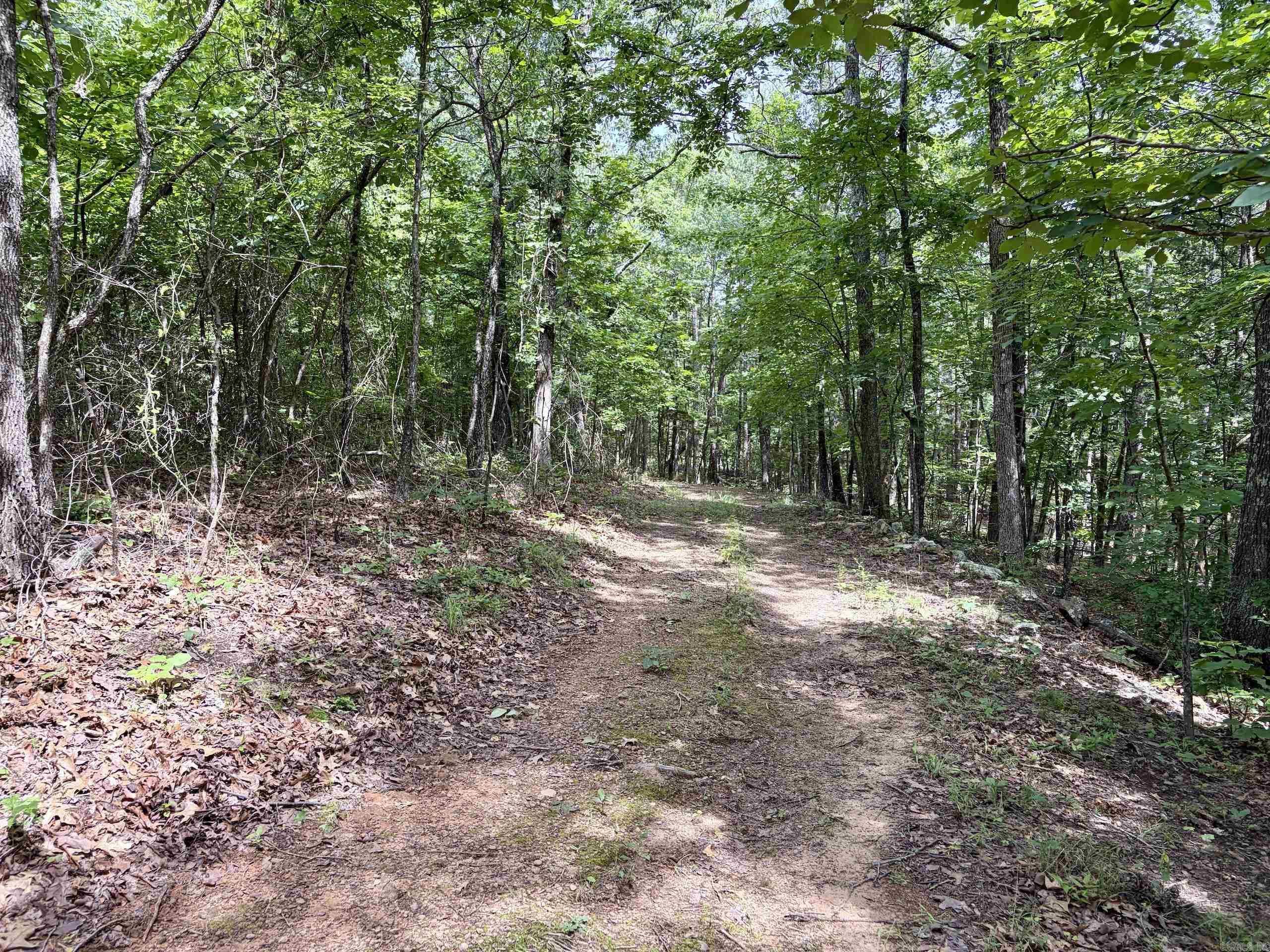 2475 Holly Mountain Road Property Photo 24
