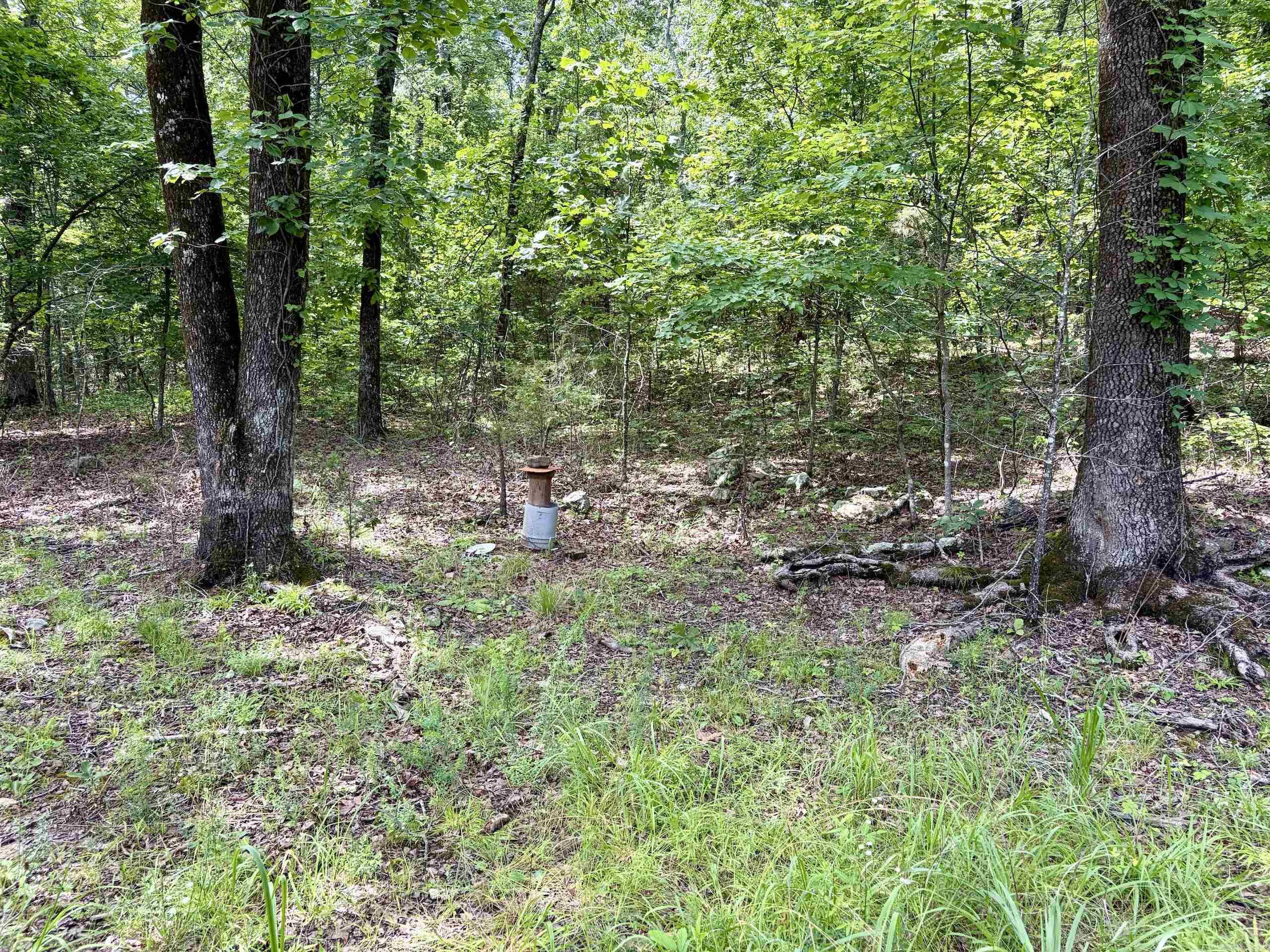 2475 Holly Mountain Road Property Photo 25