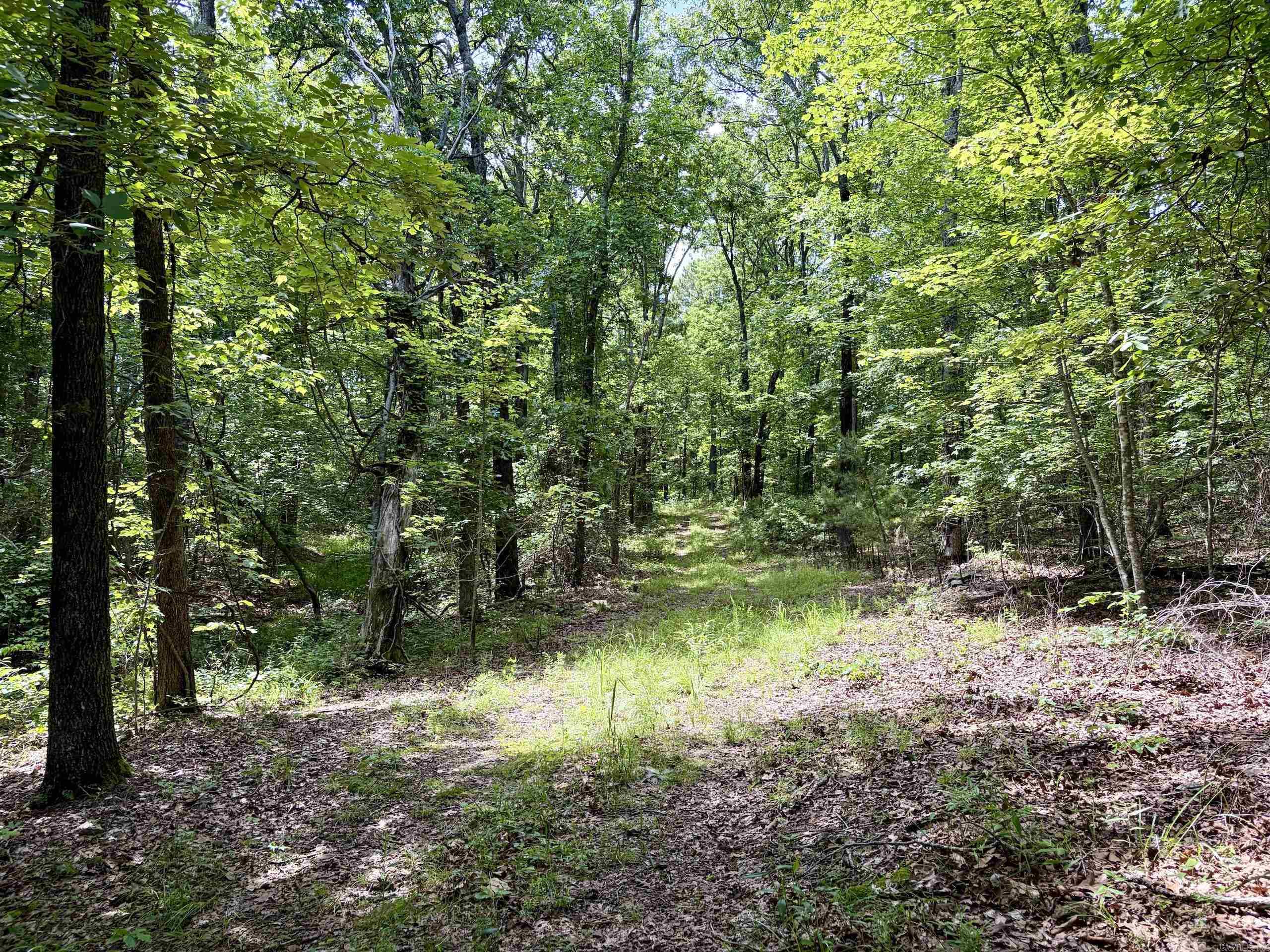 2475 Holly Mountain Road Property Photo 28