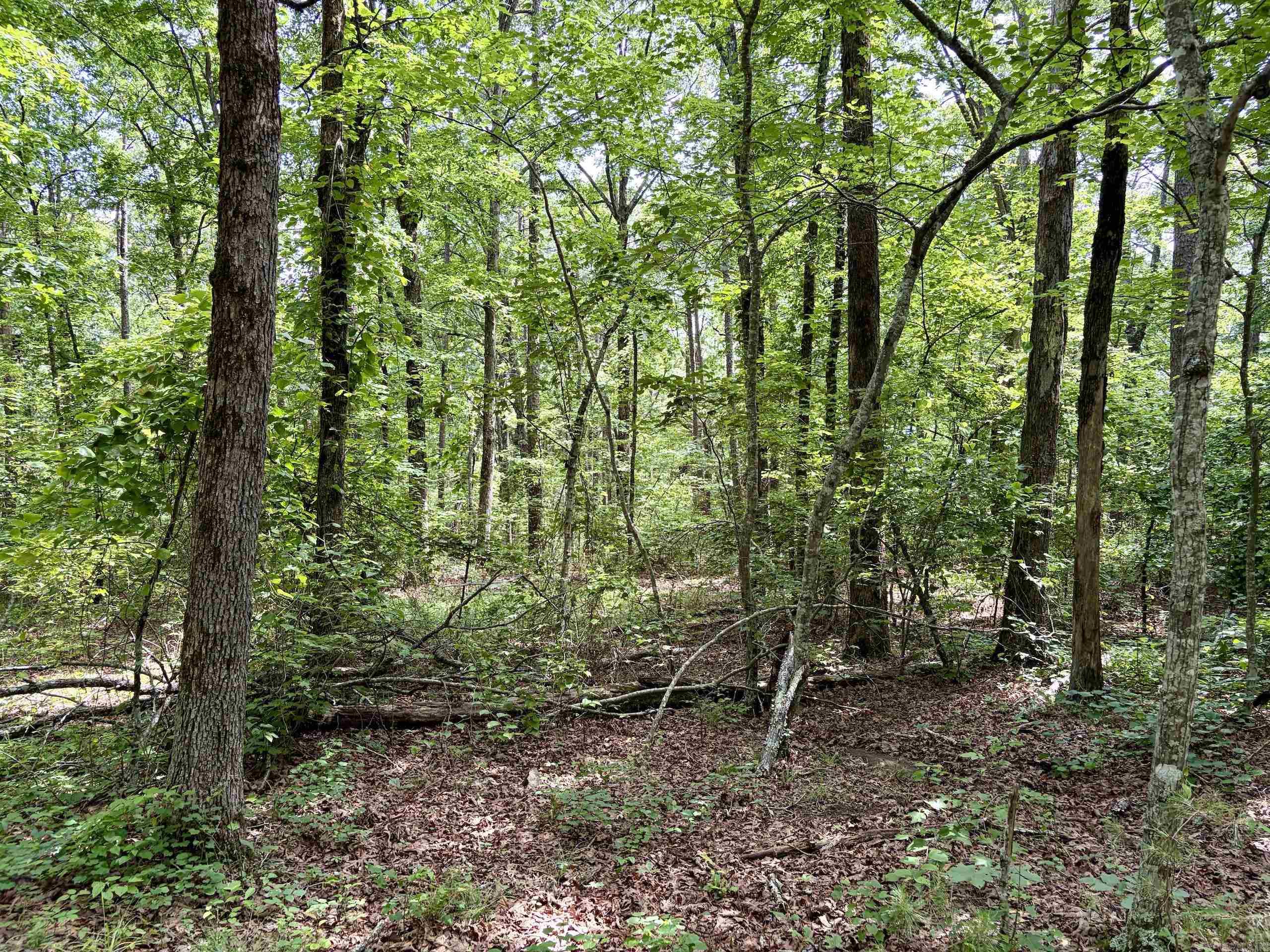 2475 Holly Mountain Road Property Photo 29