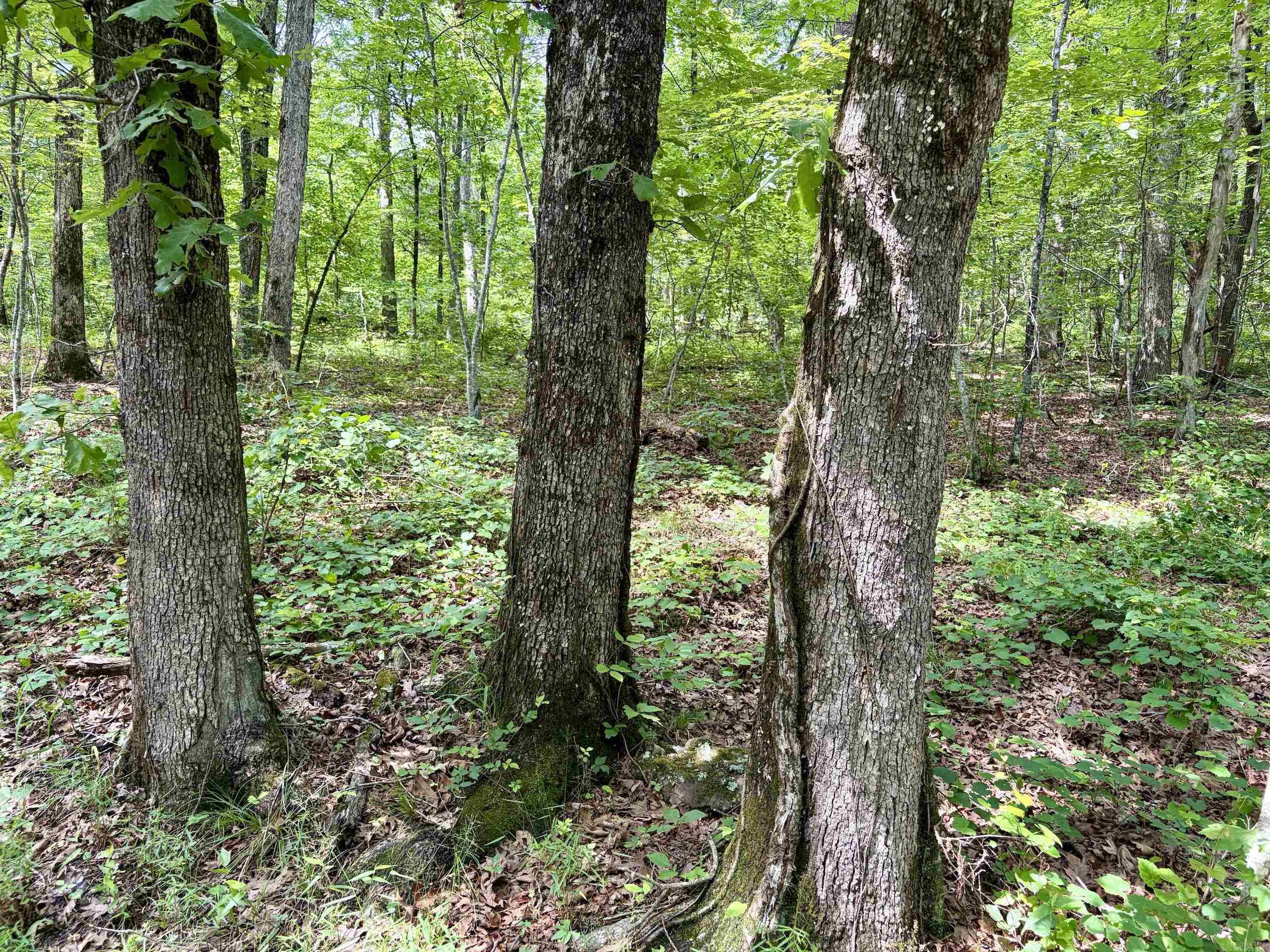 2475 Holly Mountain Road Property Photo 30