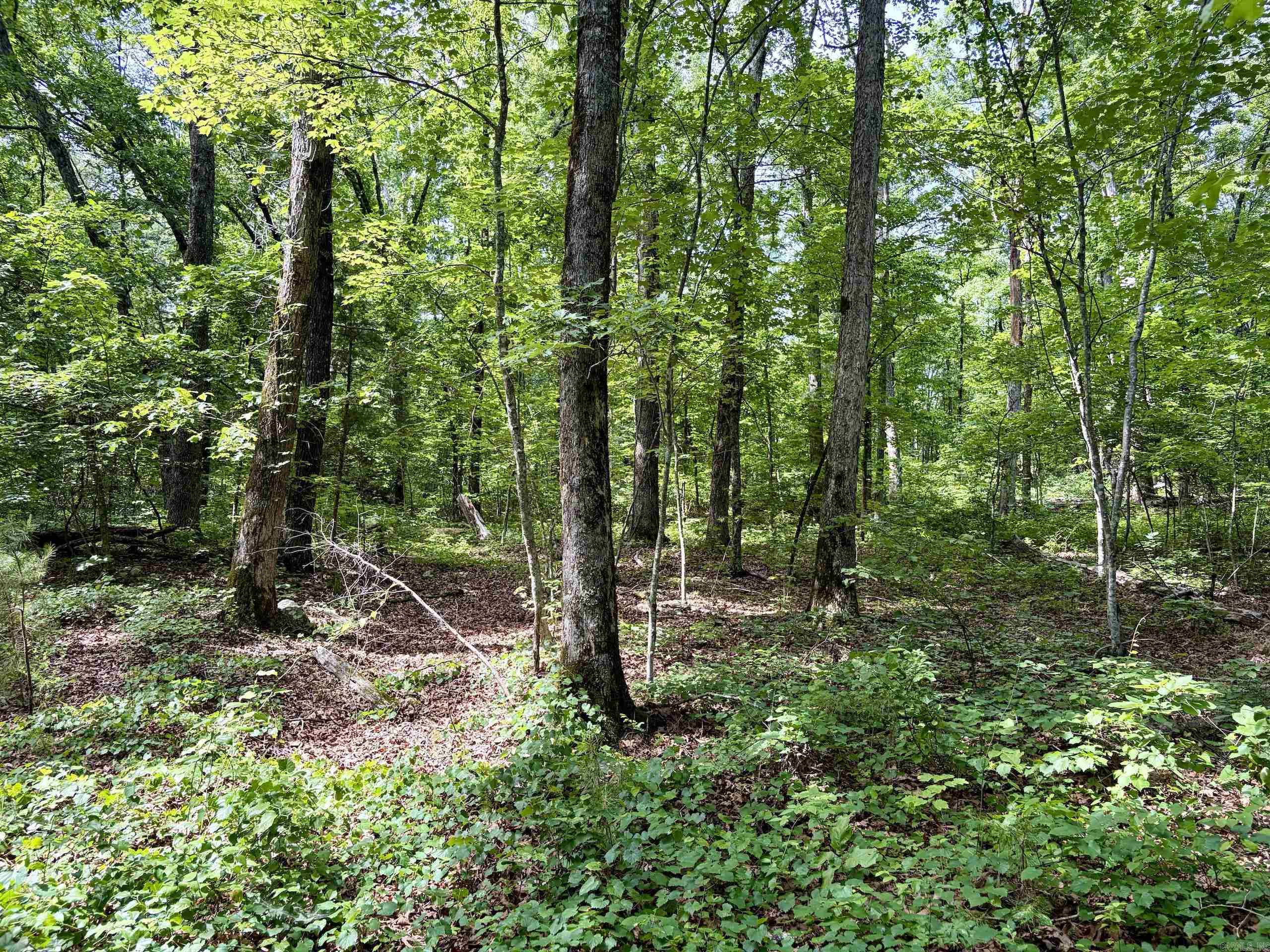 2475 Holly Mountain Road Property Photo 31