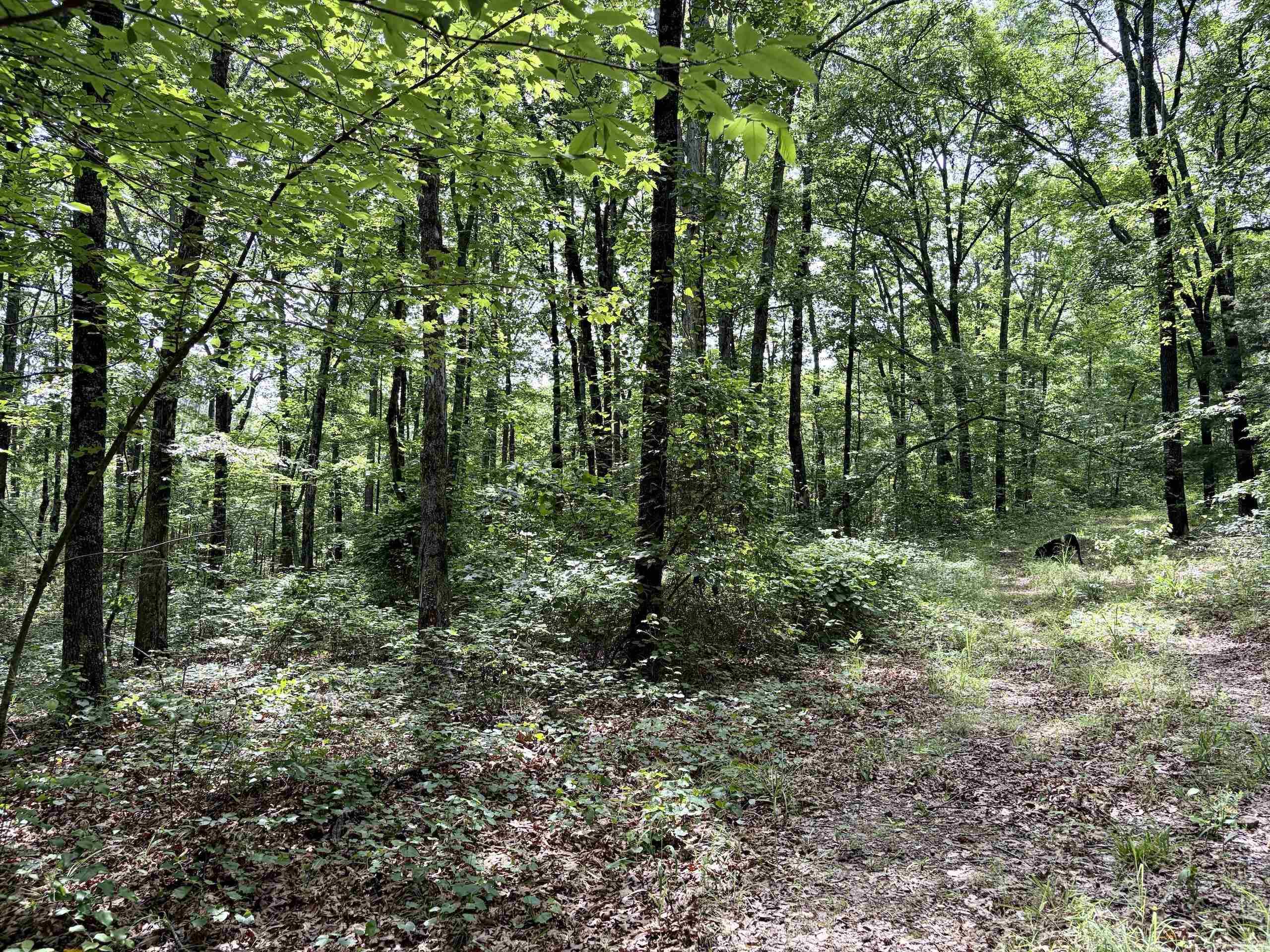 2475 Holly Mountain Road Property Photo 33
