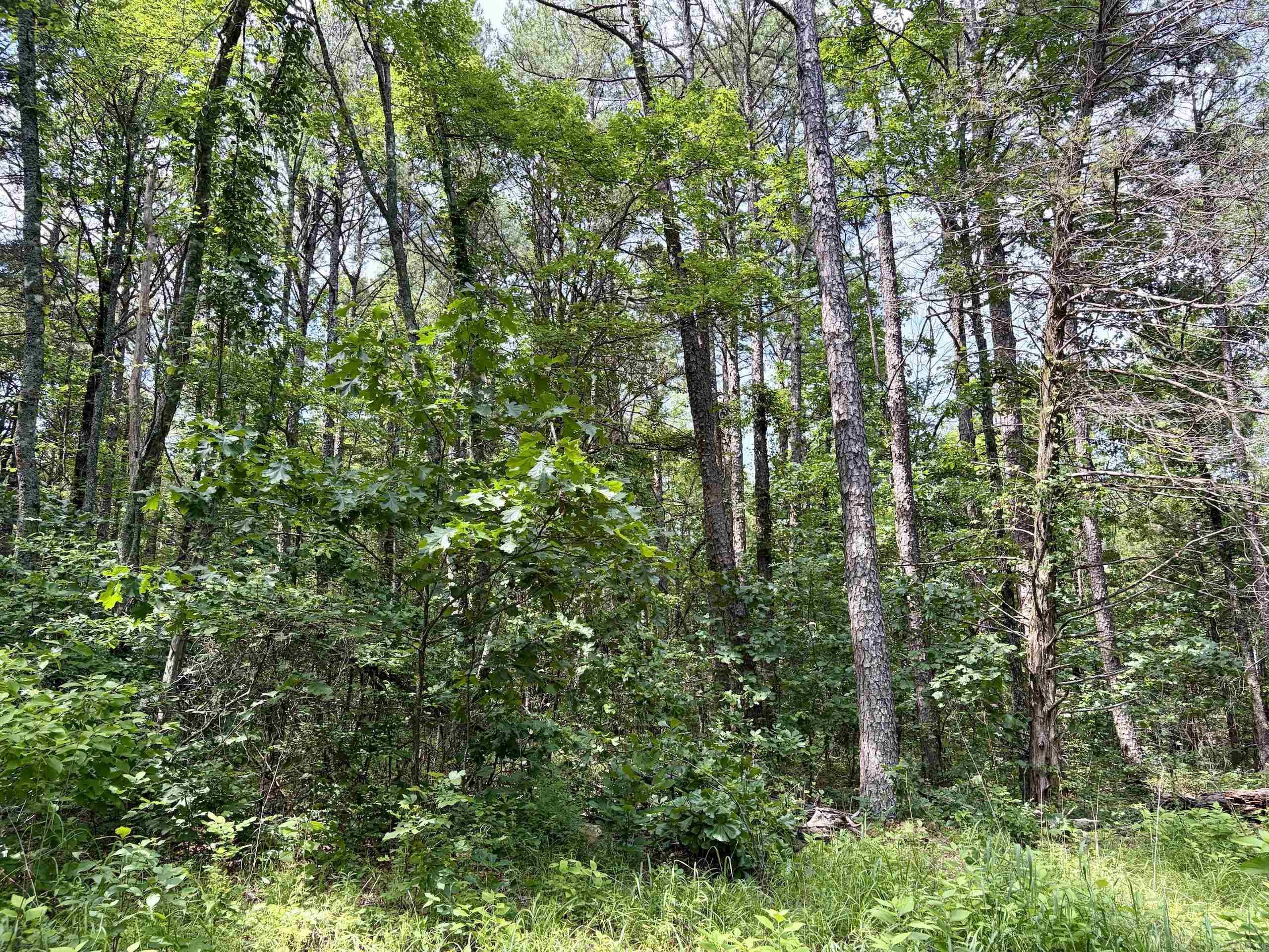 2475 Holly Mountain Road Property Photo 34