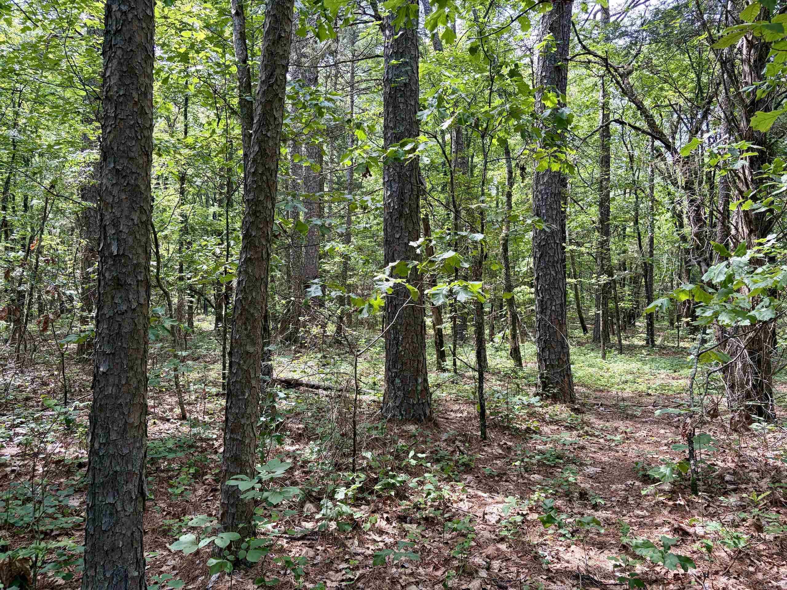 2475 Holly Mountain Road Property Photo 35