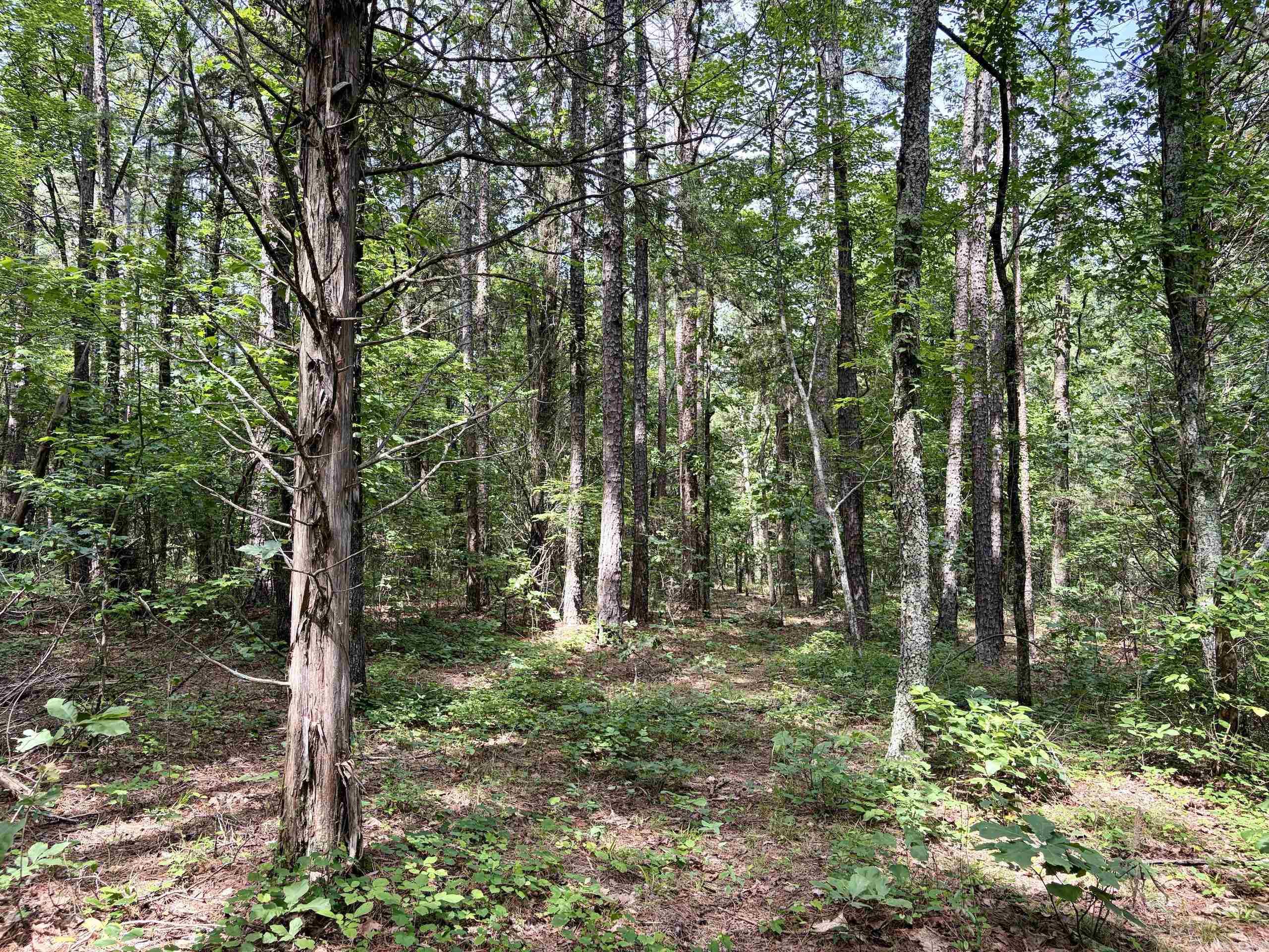 2475 Holly Mountain Road Property Photo 37
