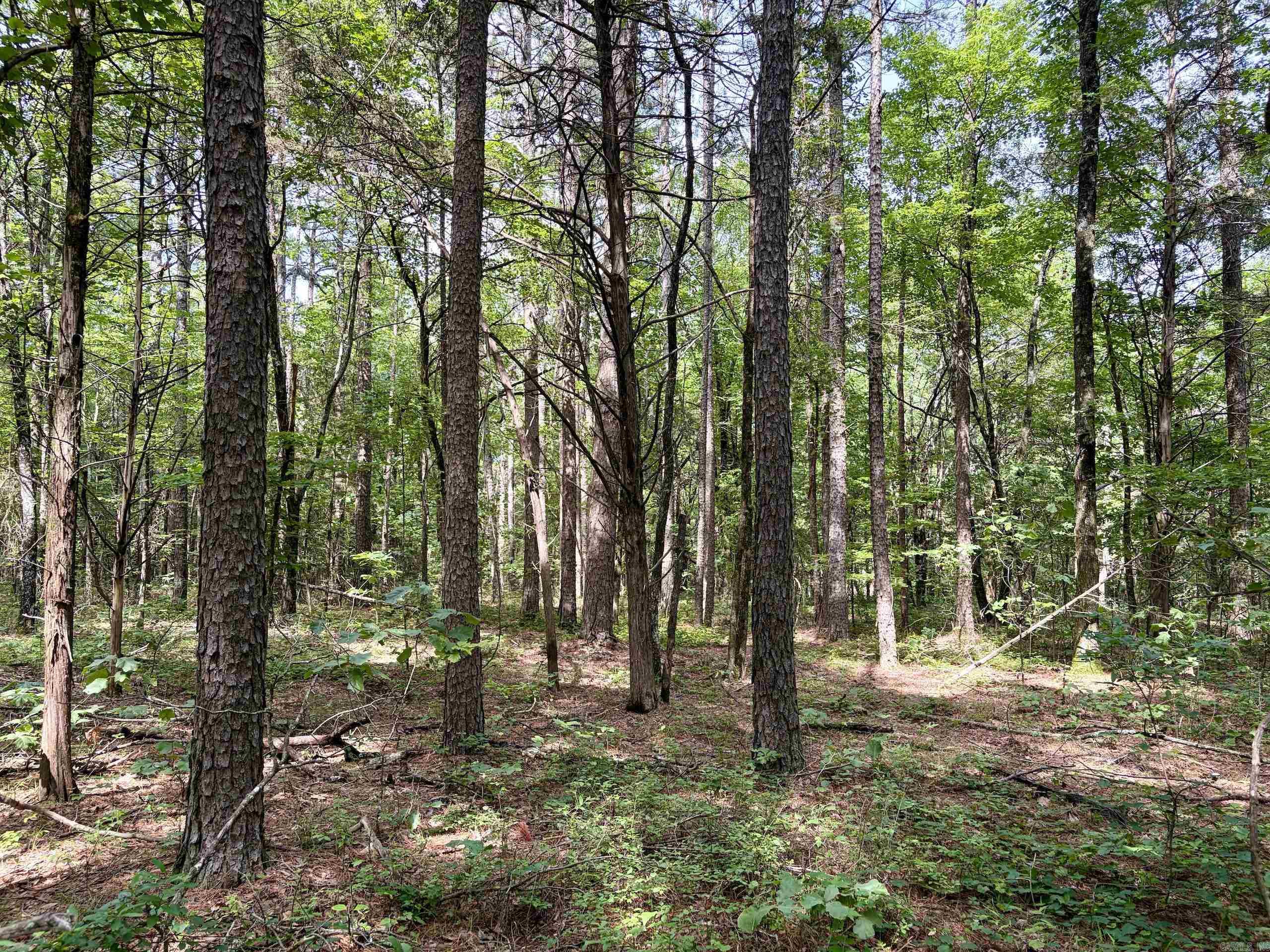 2475 Holly Mountain Road Property Photo 38