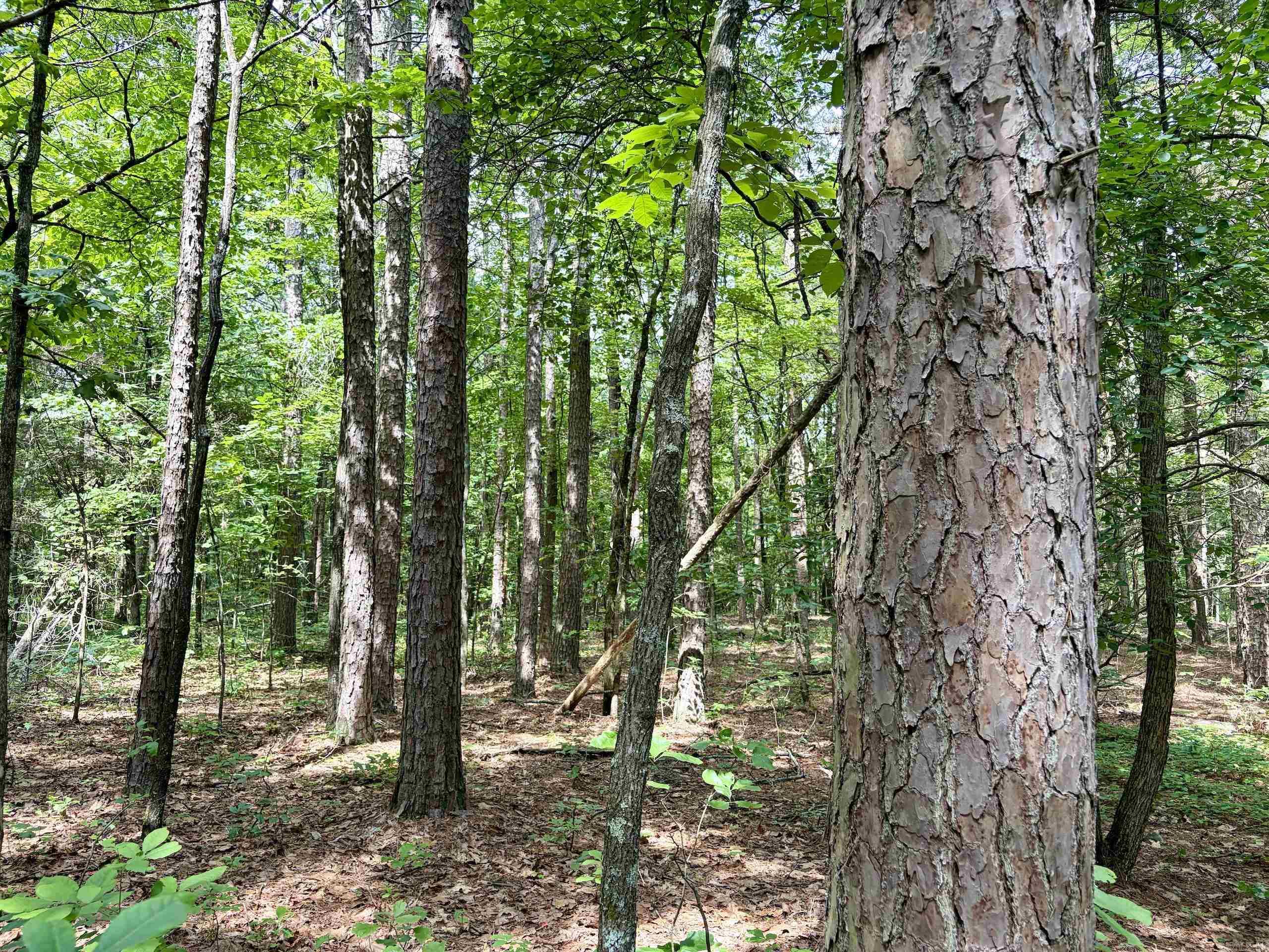 2475 Holly Mountain Road Property Photo 40