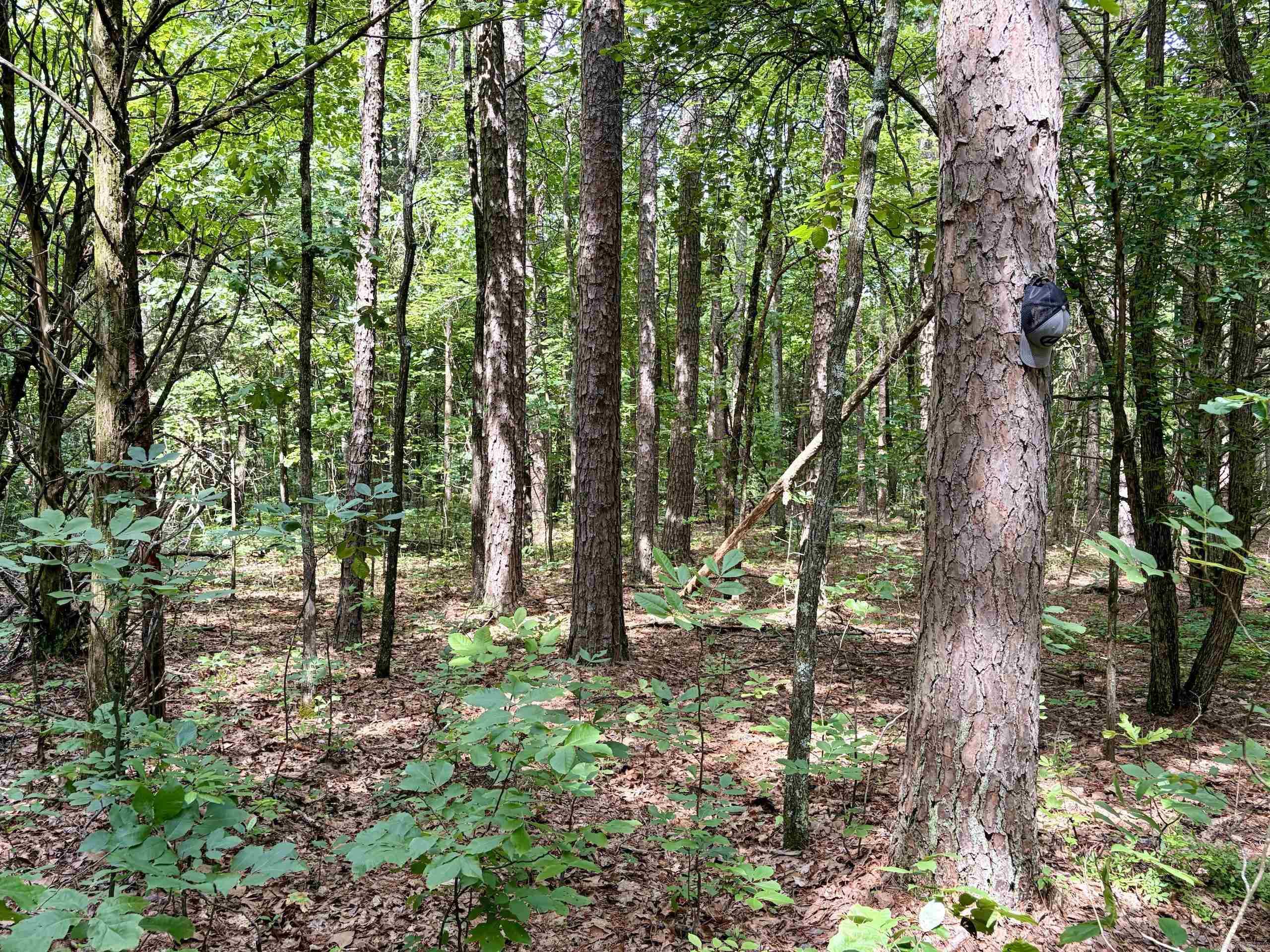 2475 Holly Mountain Road Property Photo 42