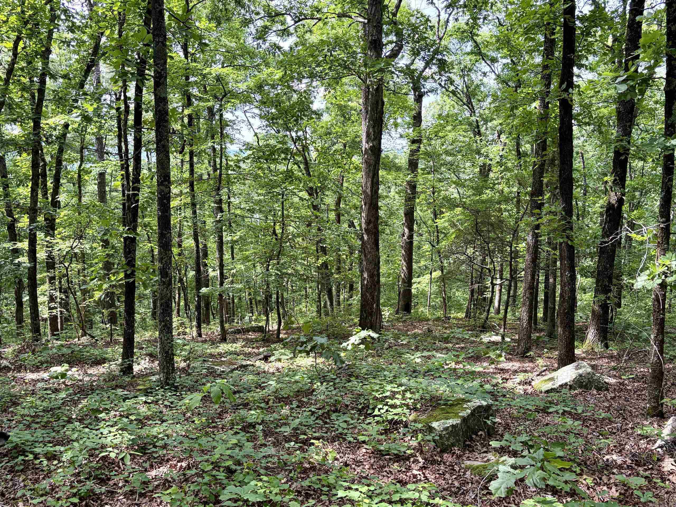 2475 Holly Mountain Road Property Photo 44