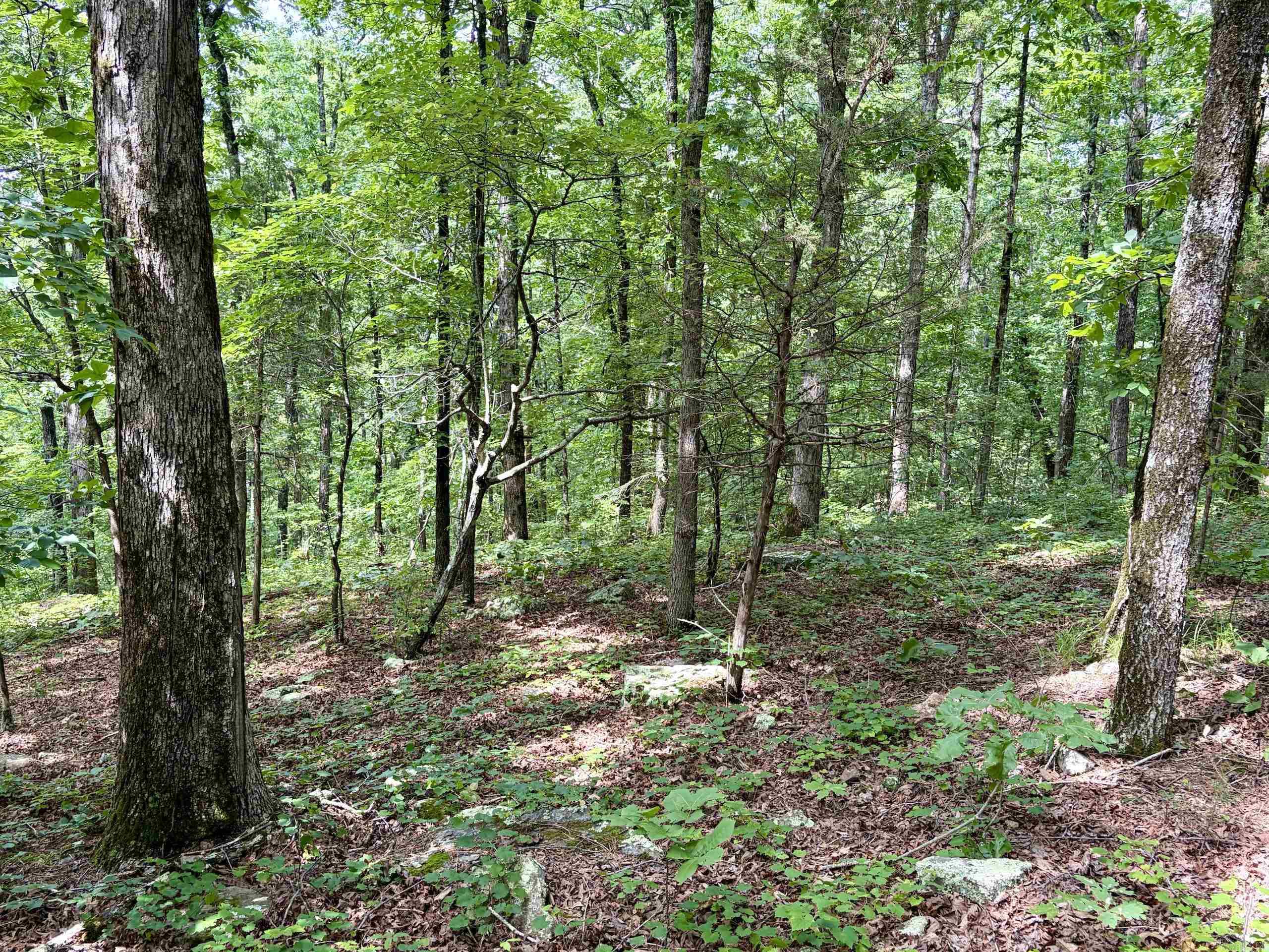 2475 Holly Mountain Road Property Photo 45