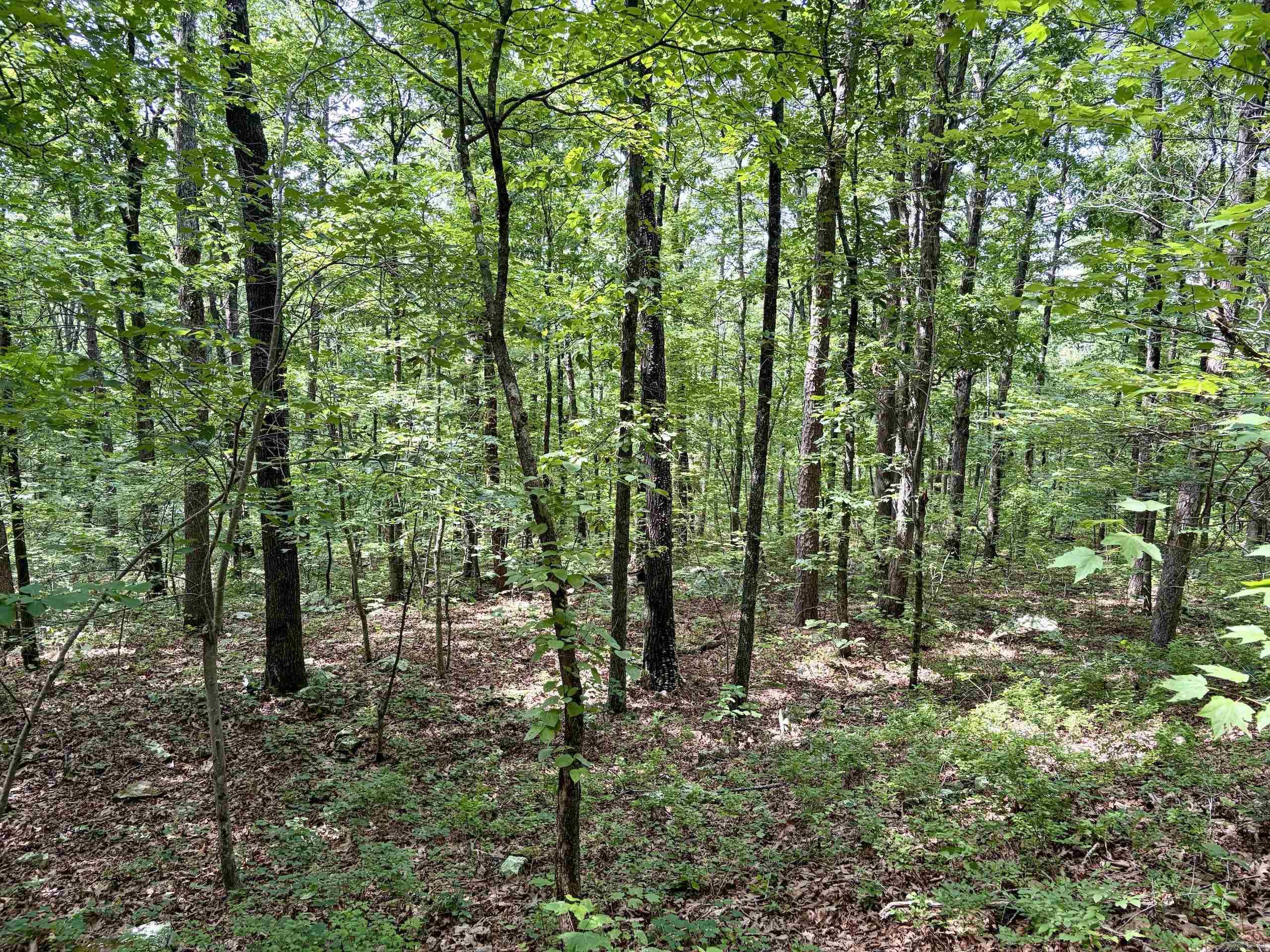 2475 Holly Mountain Road Property Photo 46