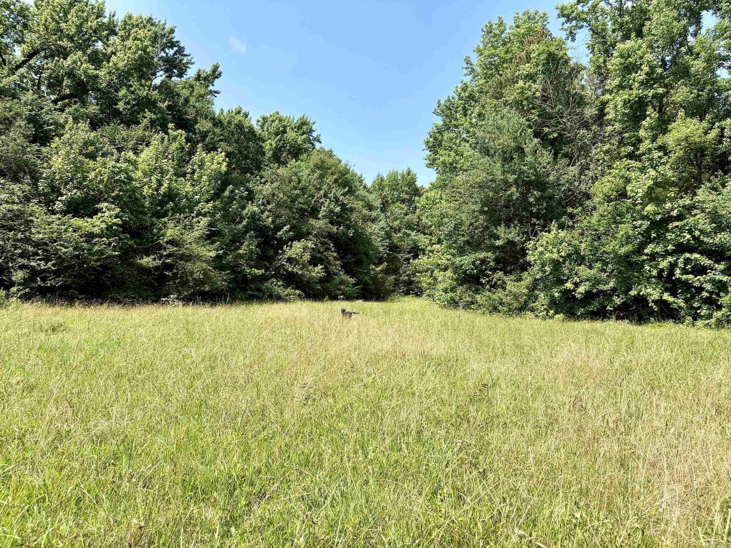 000 State Hwy 9 Property Photo 28