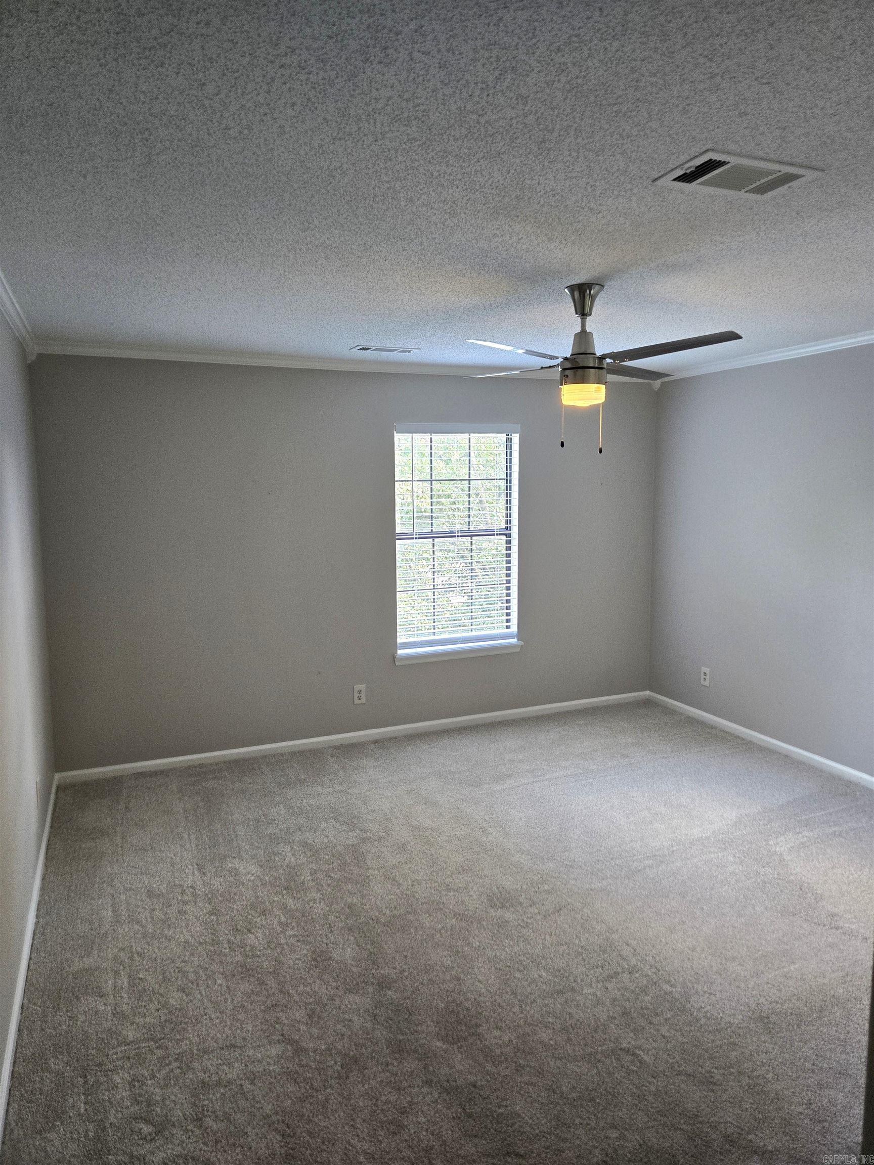 10 Flourite Cove Property Photo 15