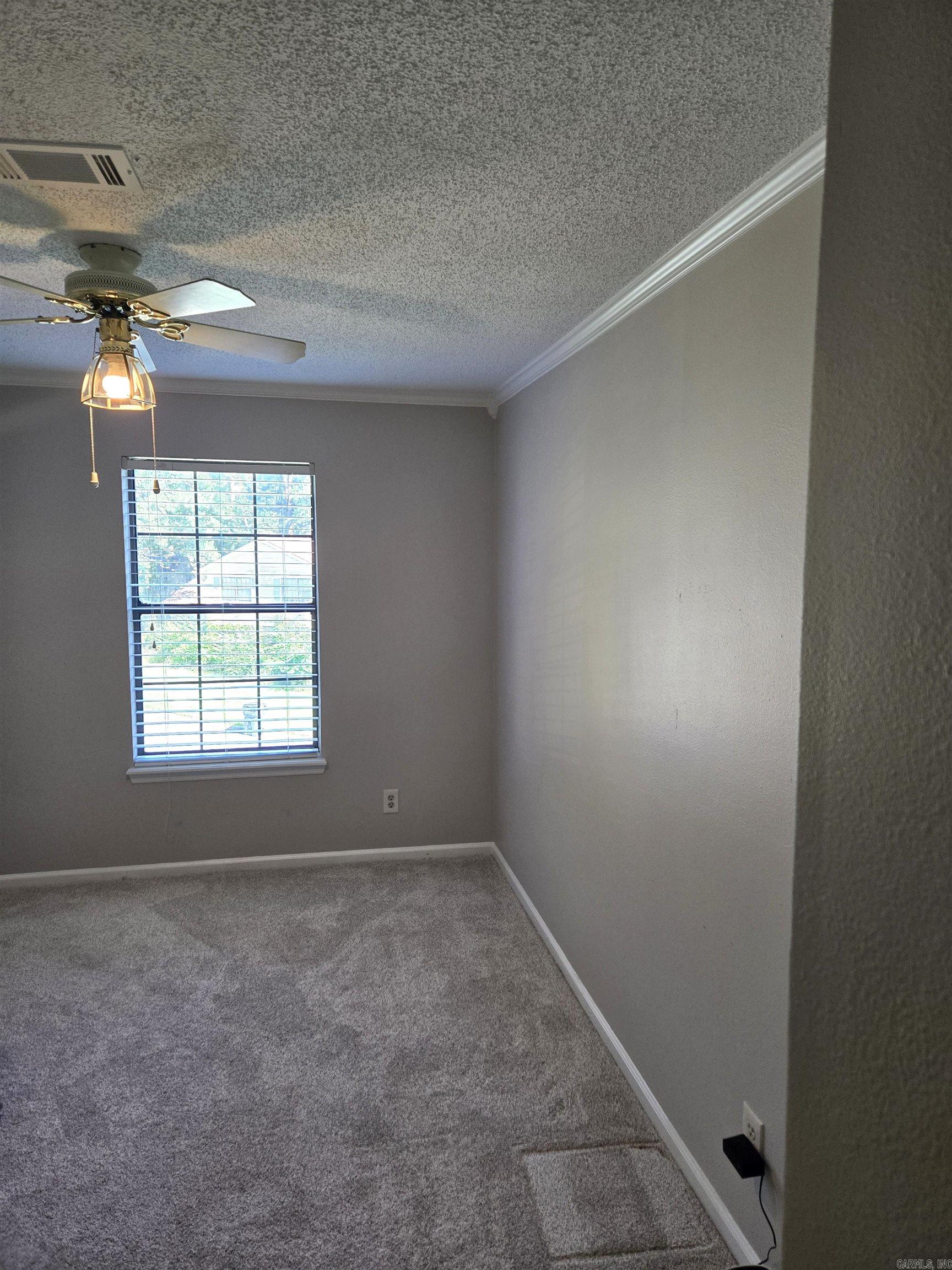 10 Flourite Cove Property Photo 17