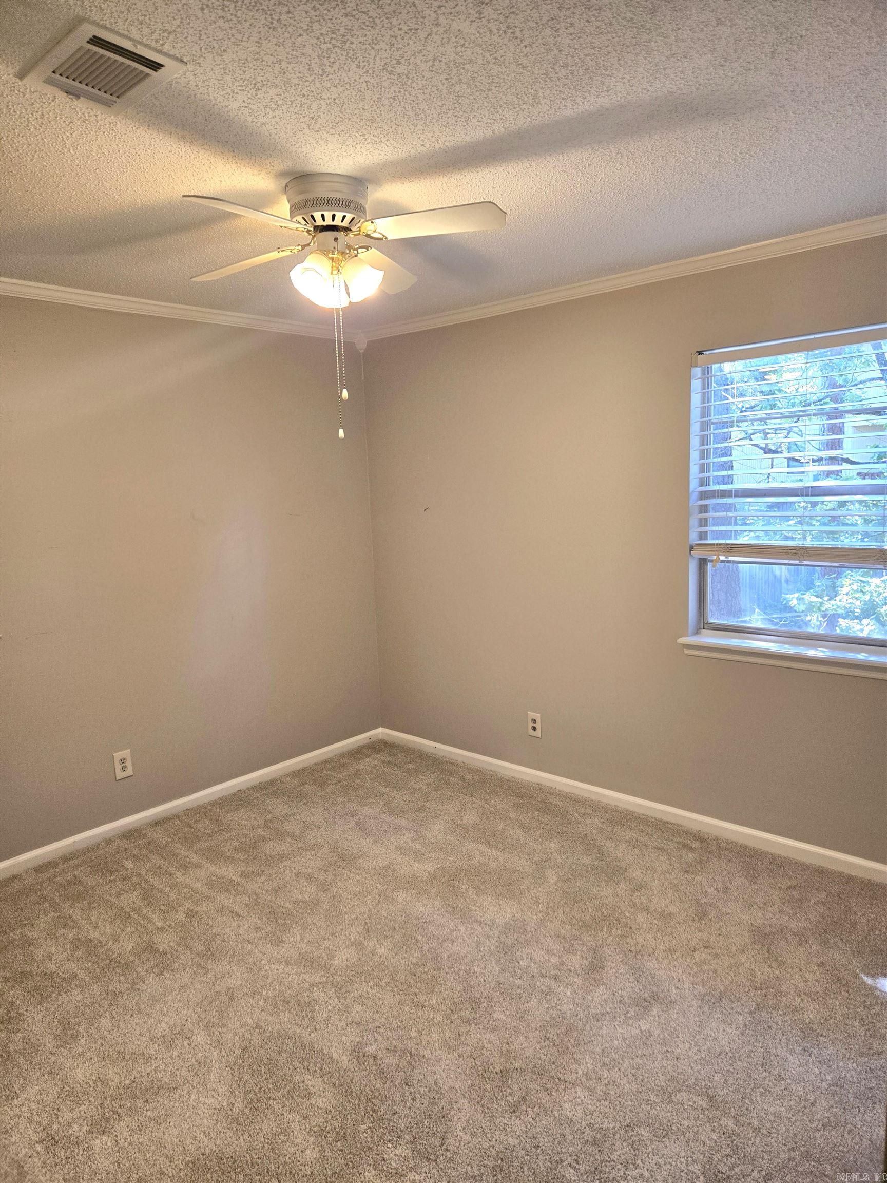 10 Flourite Cove Property Photo 18