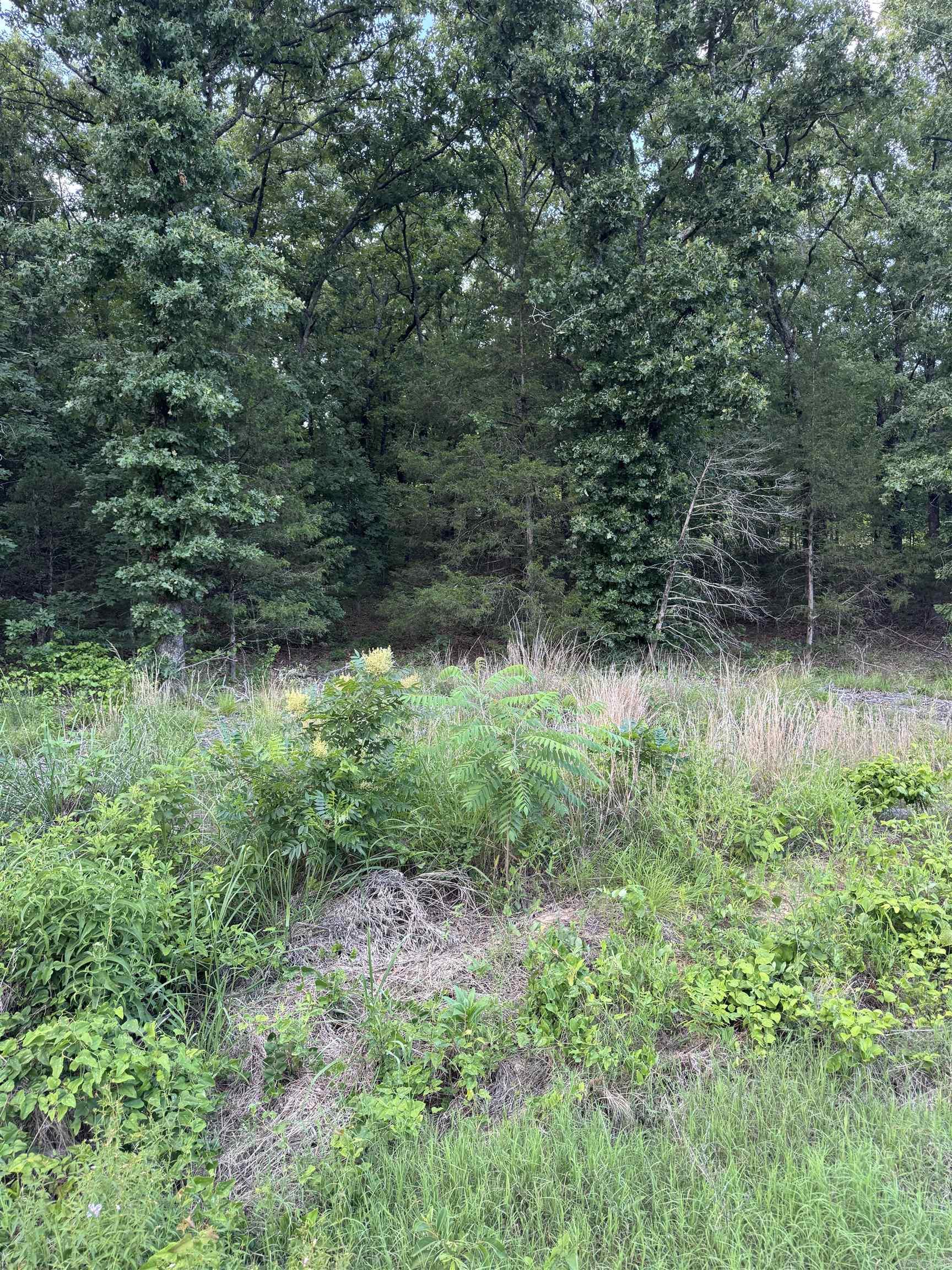 000 Ballard Road Property Photo 10