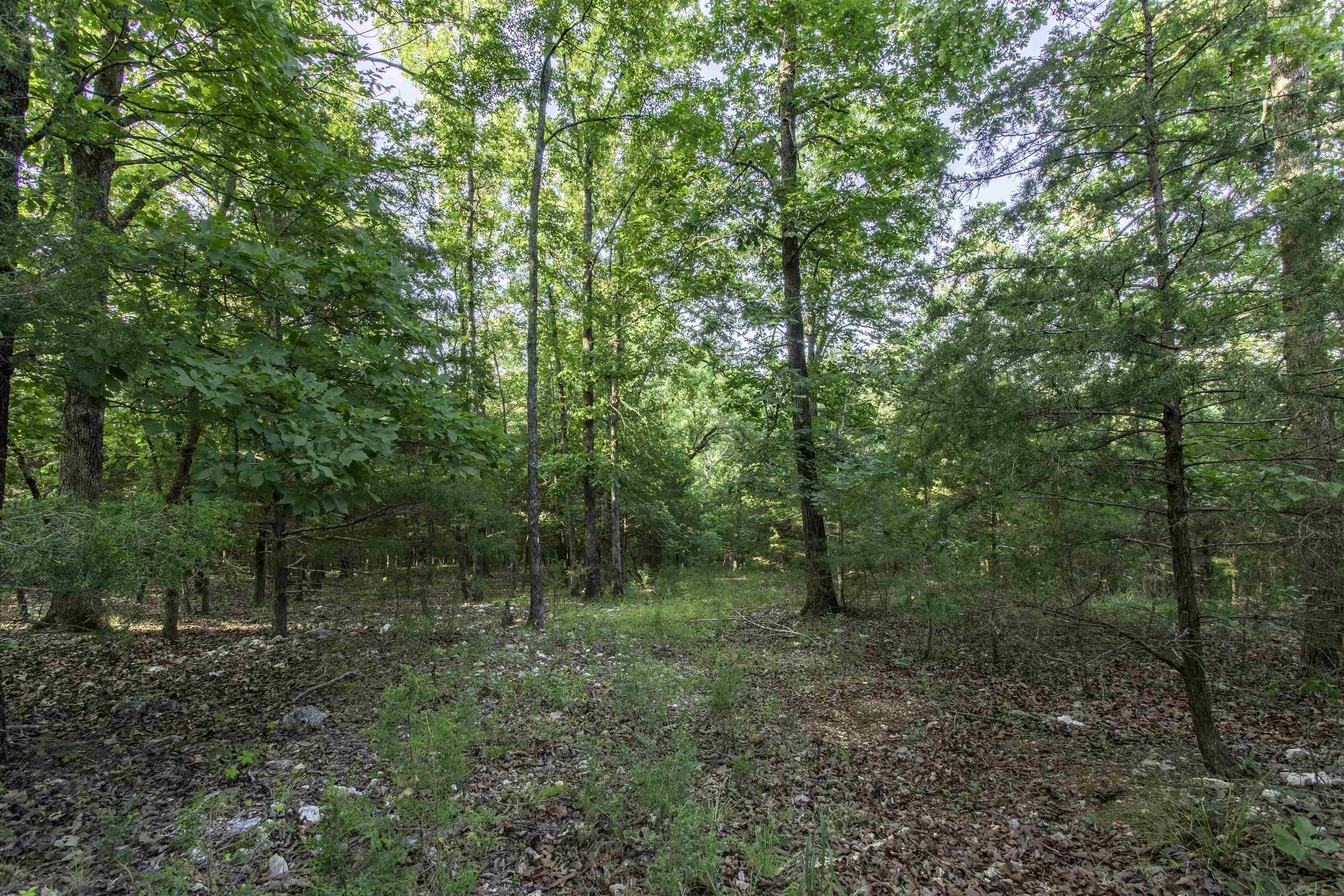 000 Ark Traveler Road Property Photo 6